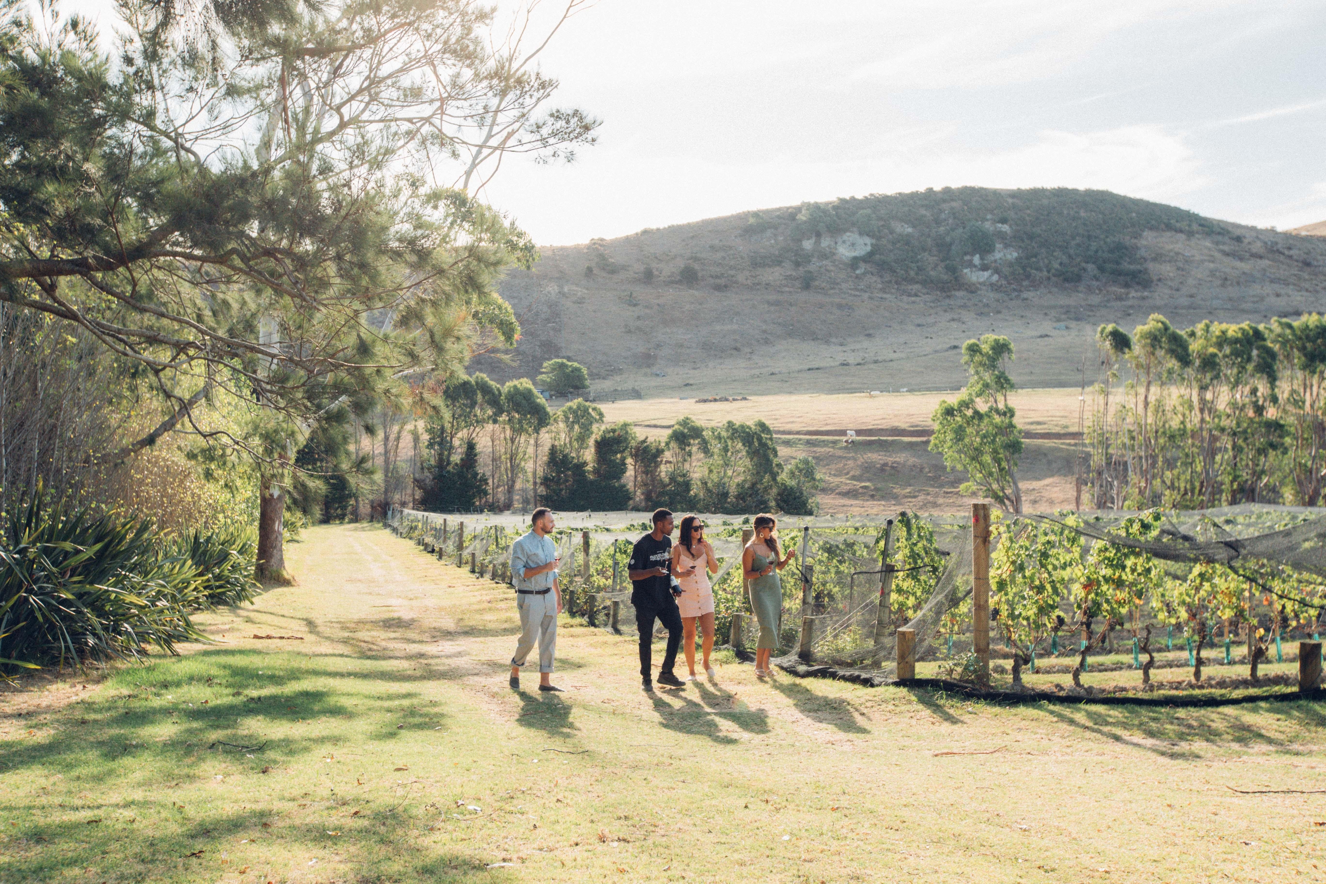 Waiheke Island wine tour — image 26