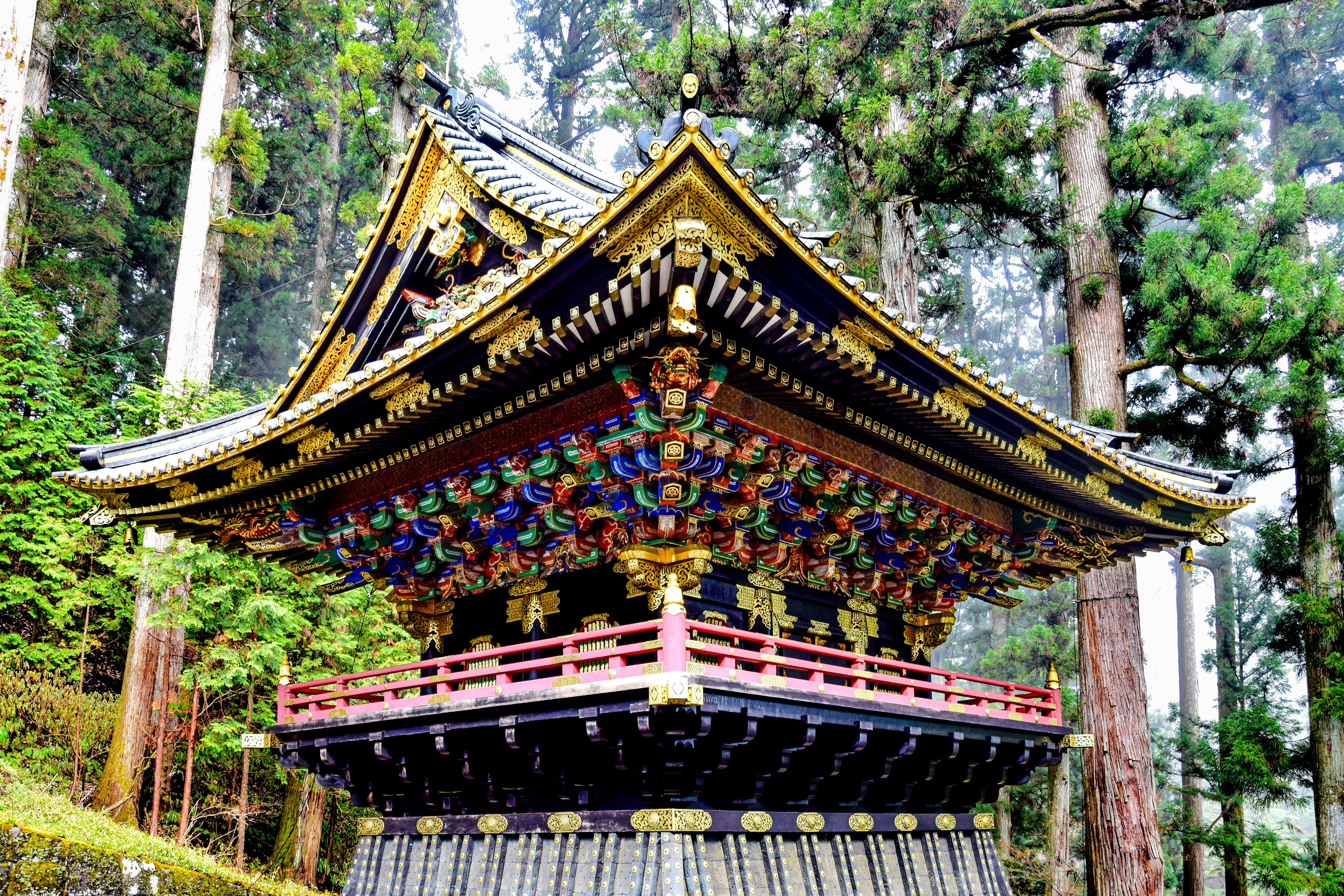 Private Full-Day Nikko Tour from Tokyo