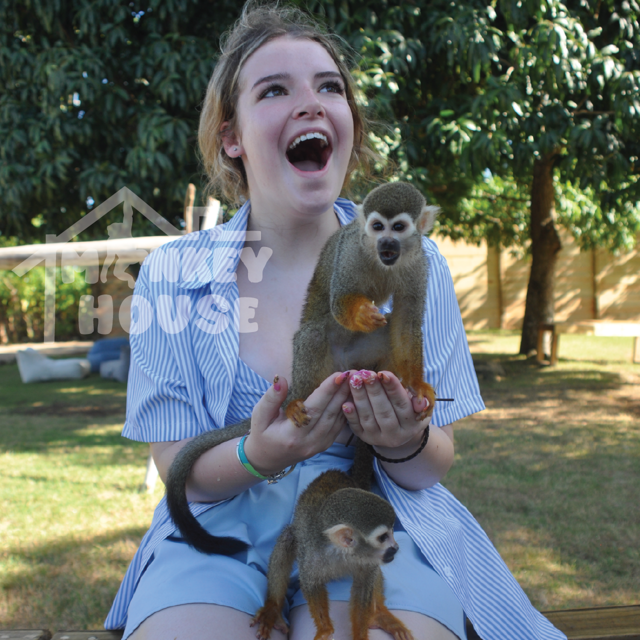 Monkey House VIP – Punta Cana Nature & Wildlife Experience