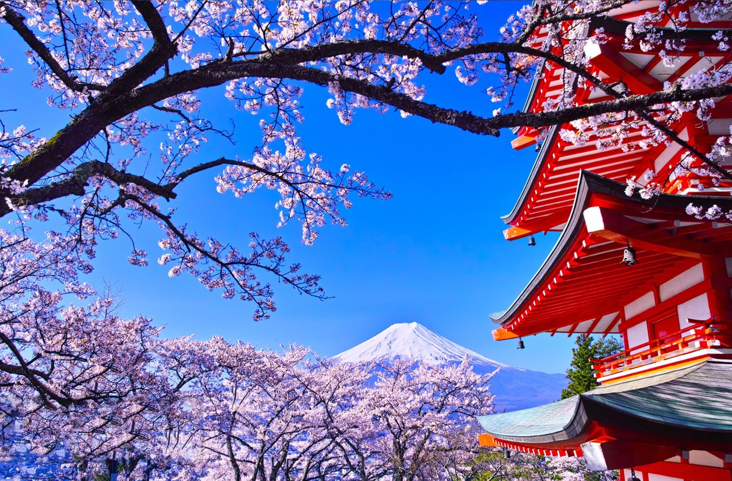 Mount Fuji & Hakone Day Adventure