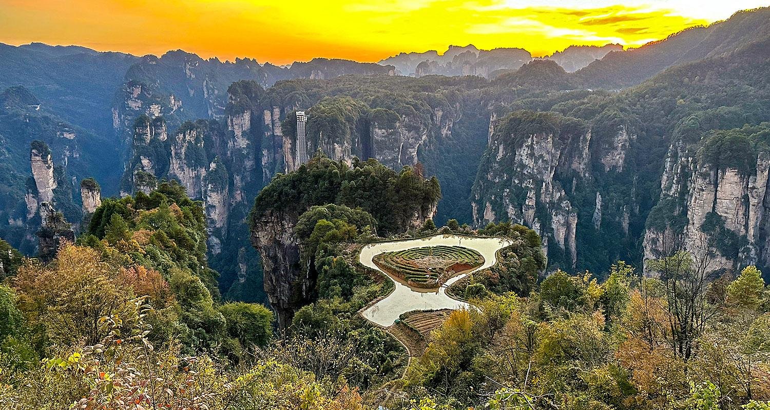 Zhangjiajie Avatar Mountain & Forest Park Full-Day Tour