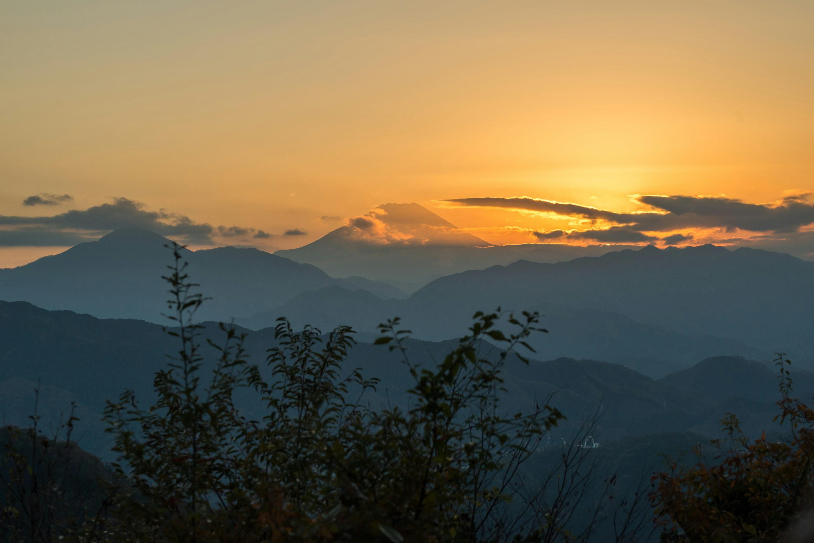 Mount Takao Guided Hike & Temple Discovery