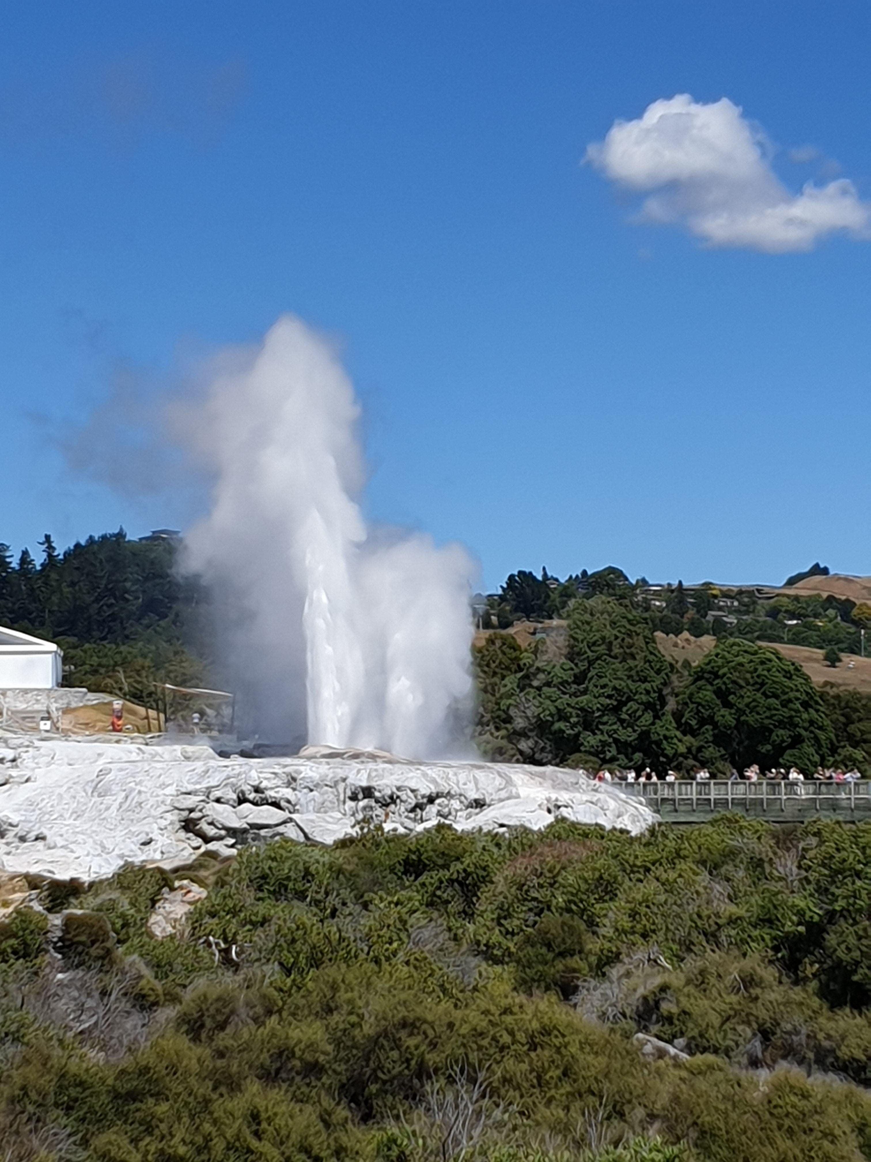 Tauranga: Rotorua Redwoods Tour & Maori Village Experience