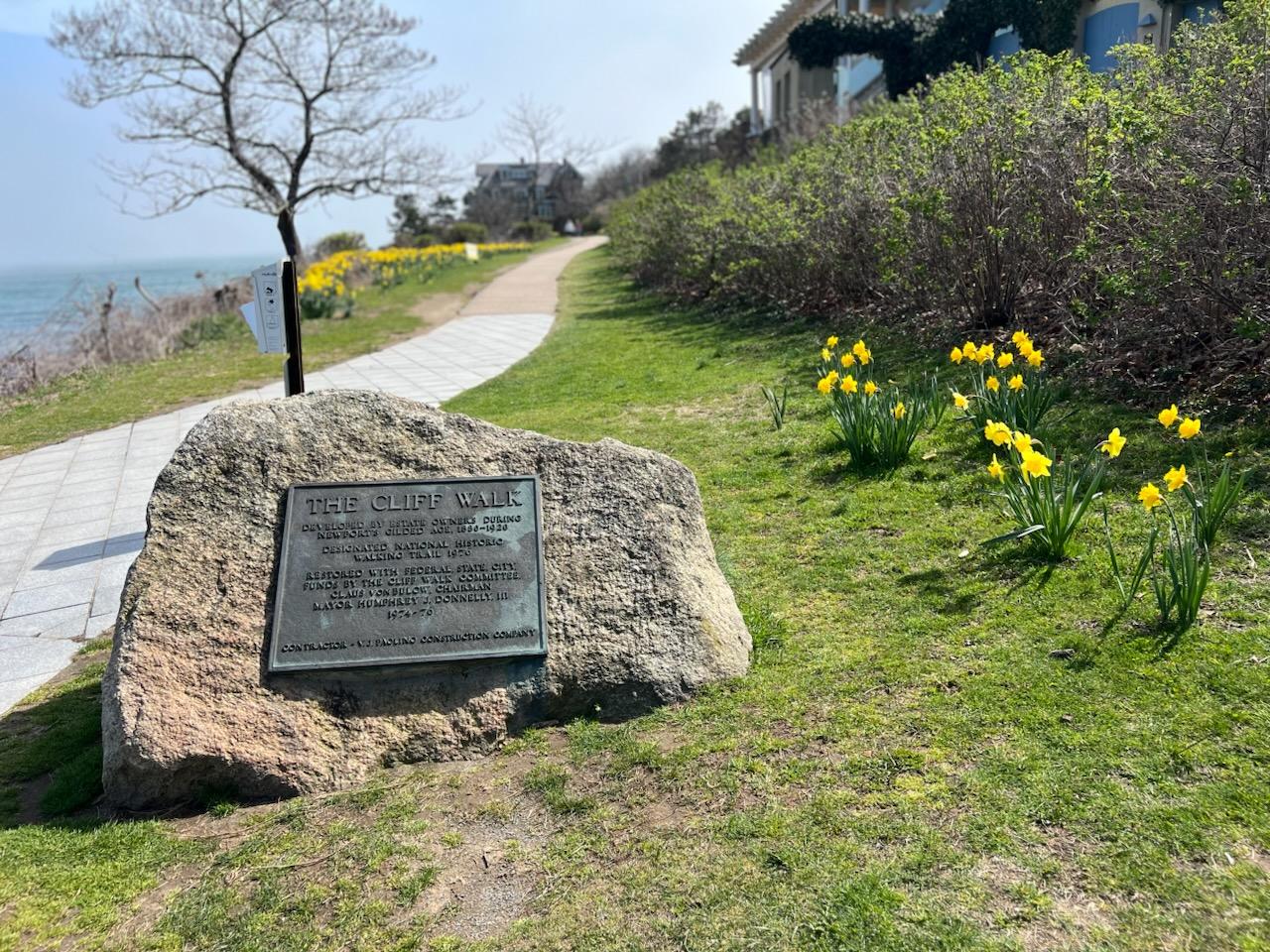 Newport Cliff Walk Guided Experience