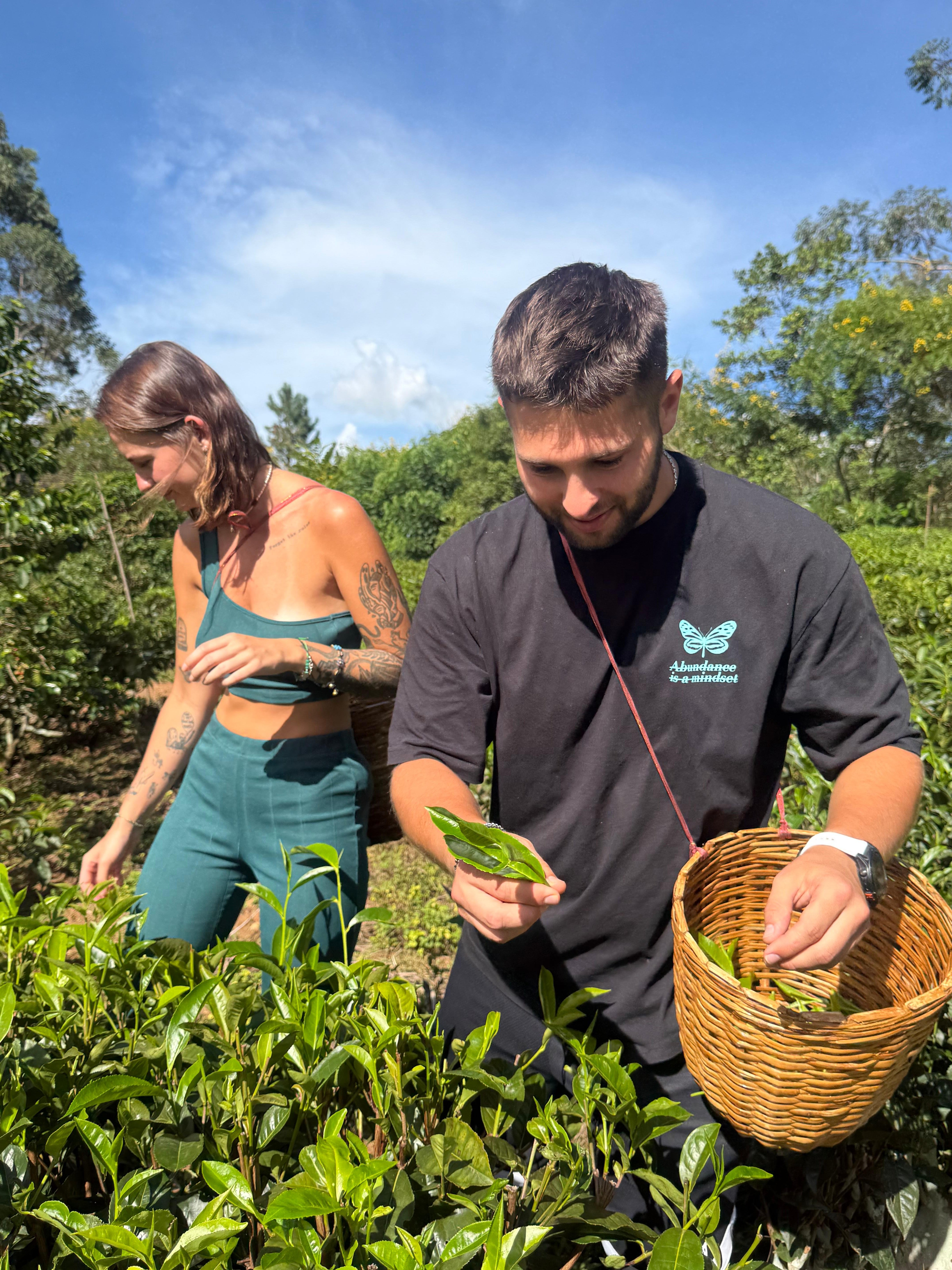Ella: Hands-On Tea Crafting and Tasting Experience