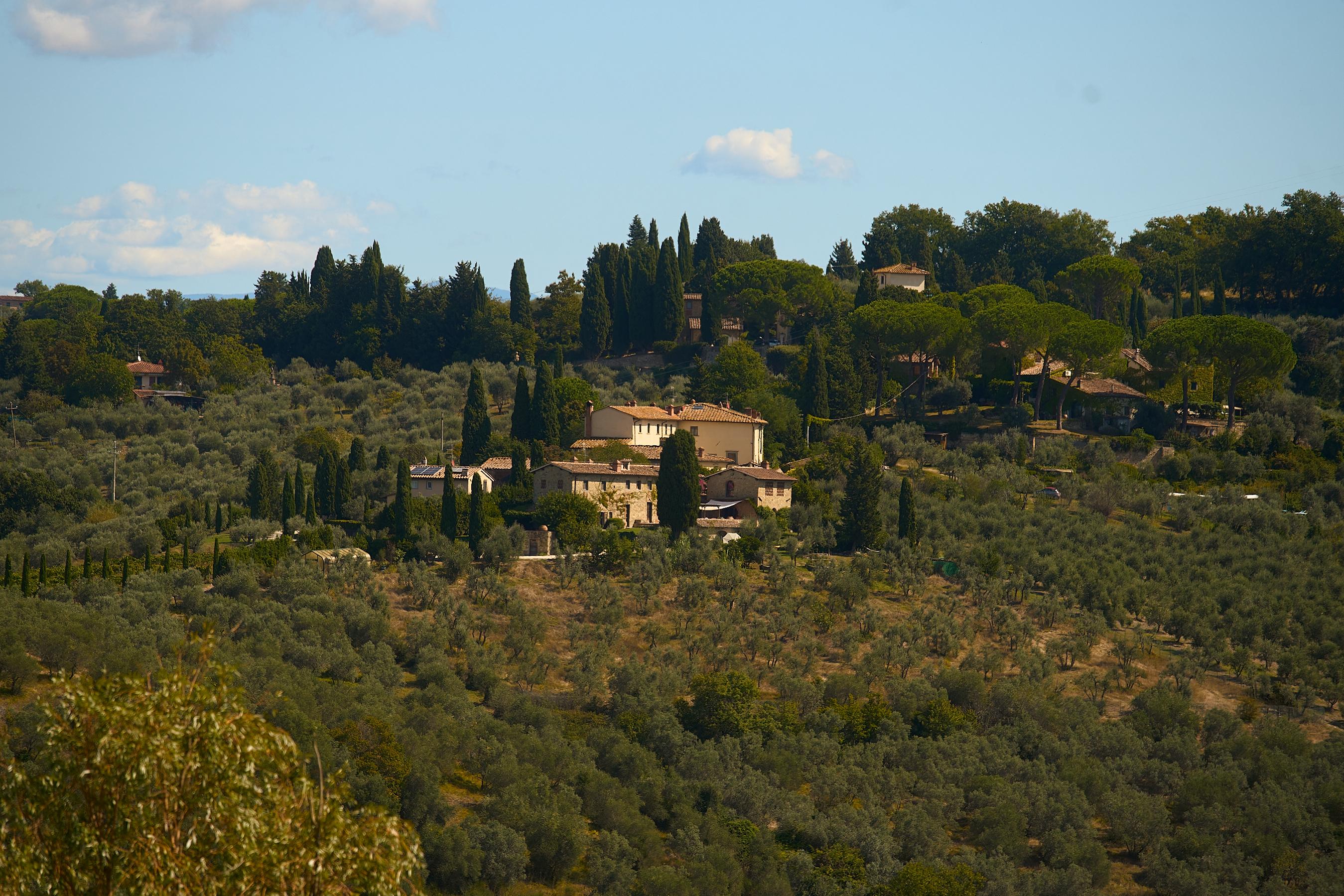 olive oil tasting in Tuscany — photo 13