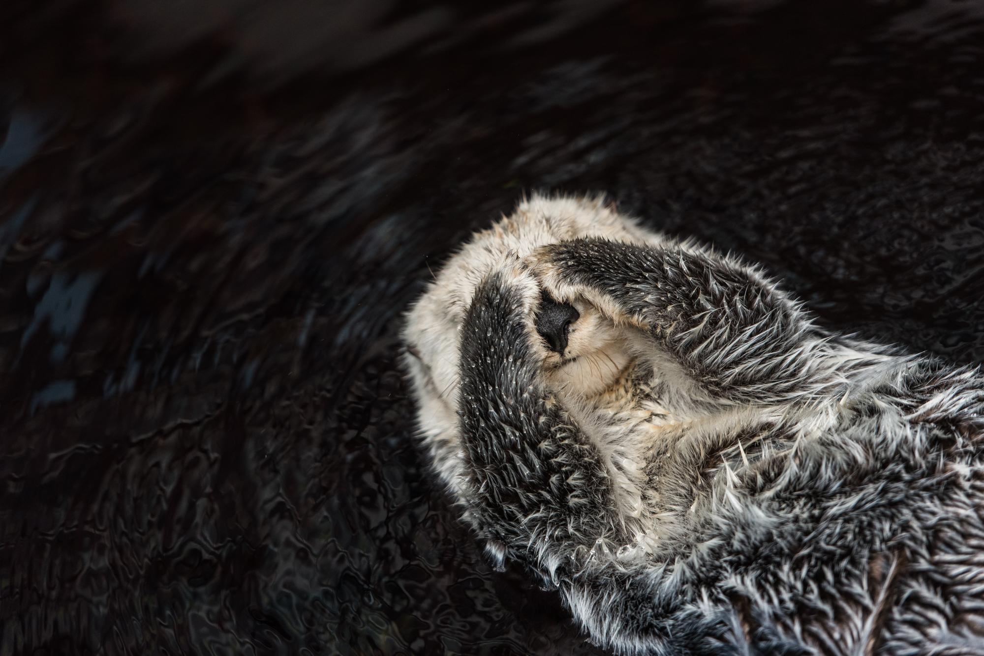 Lisbon Oceanário: Guided Tour & Behind-the-Scenes Access