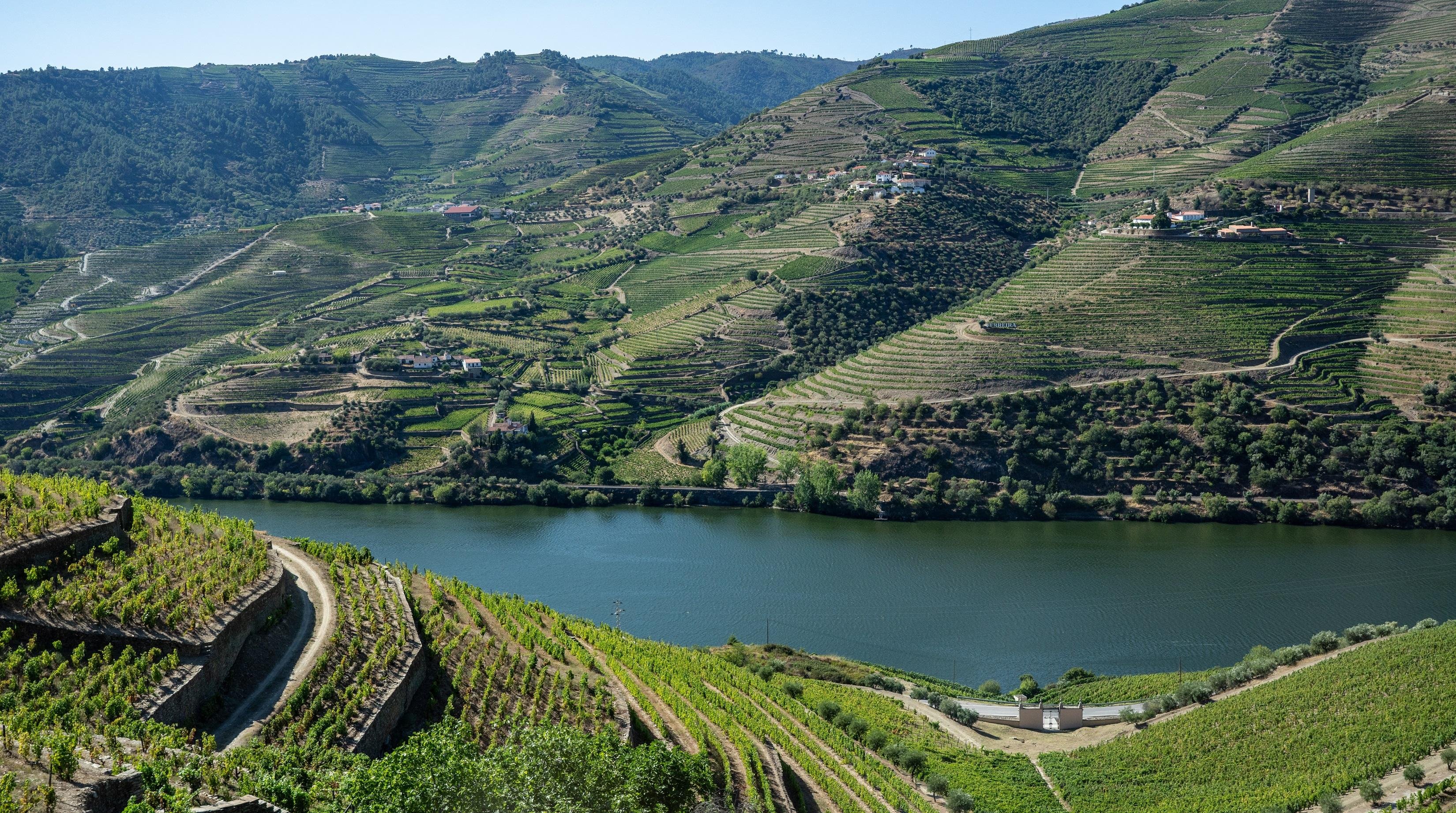 Douro Valley Wine Tour: 2 Wineries, Lunch & River Cruise