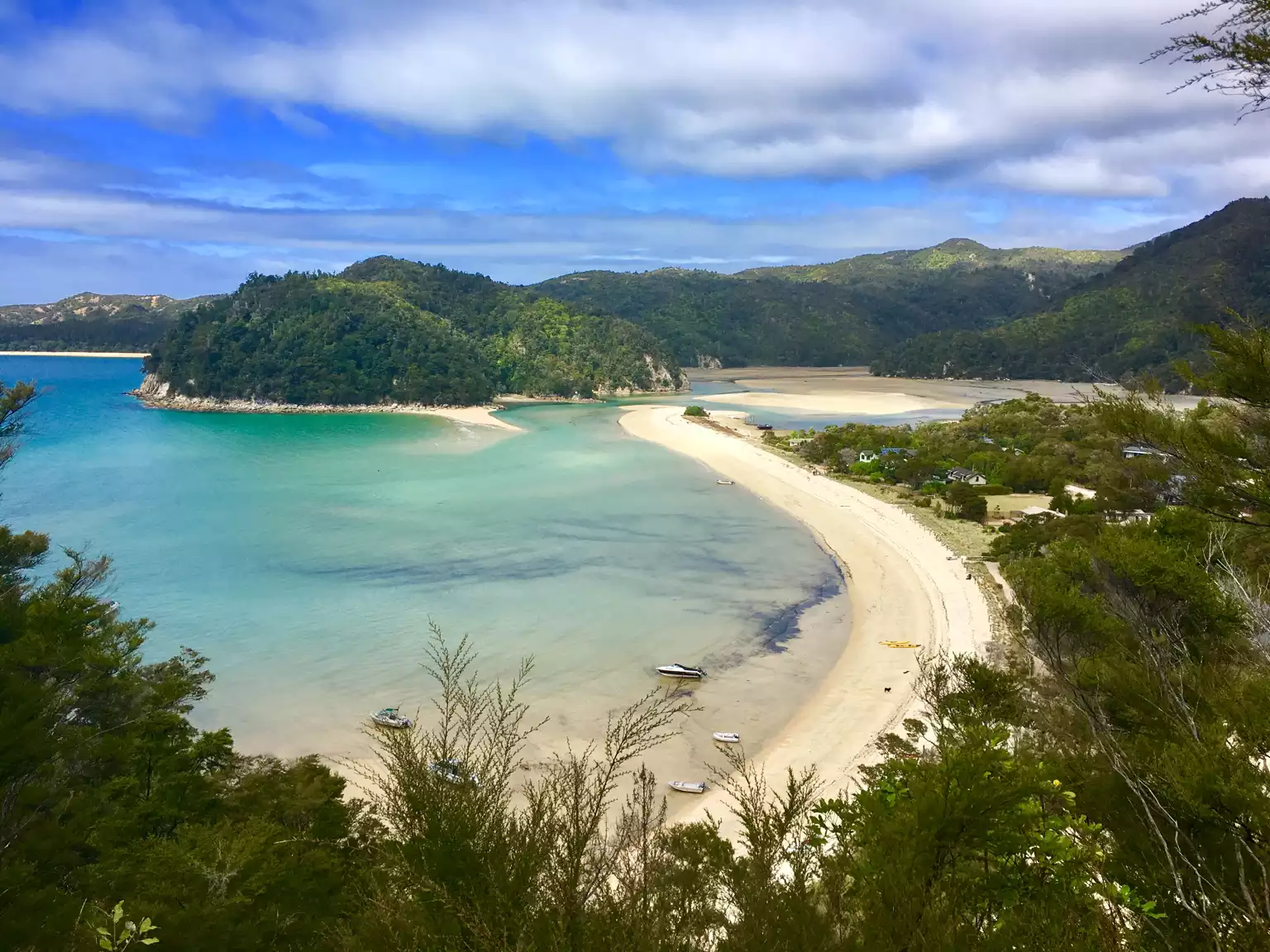 Kiwi Wilderness Experience Guided Tour (Self-Drive Option)