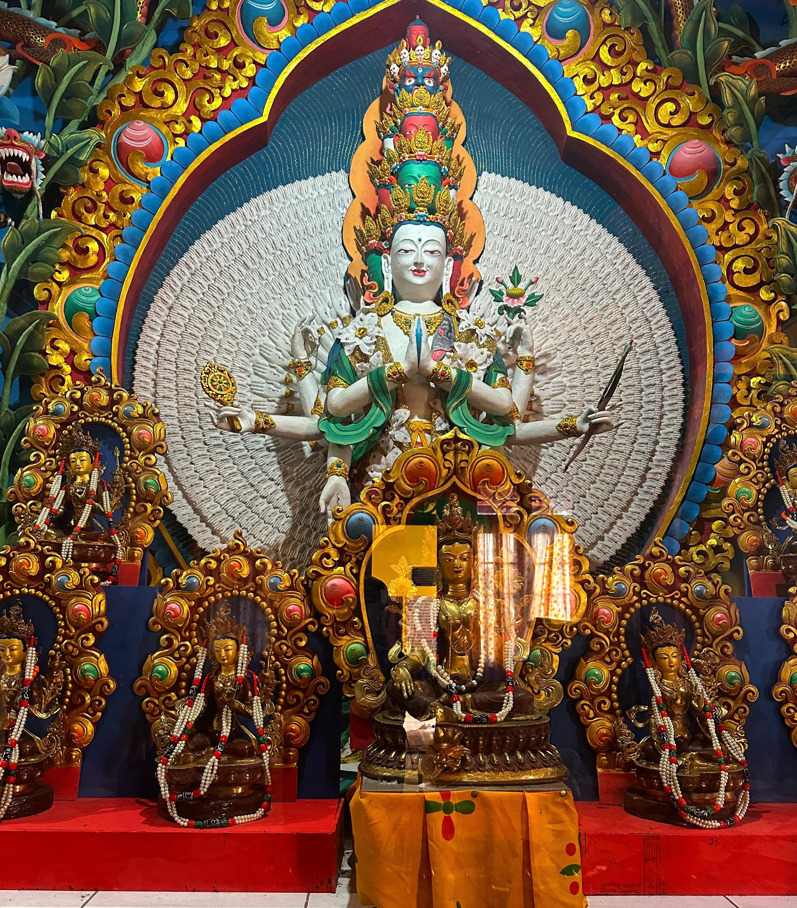 Darjeeling: Tiger Hill Sunrise & Guided Trekking Day Tour