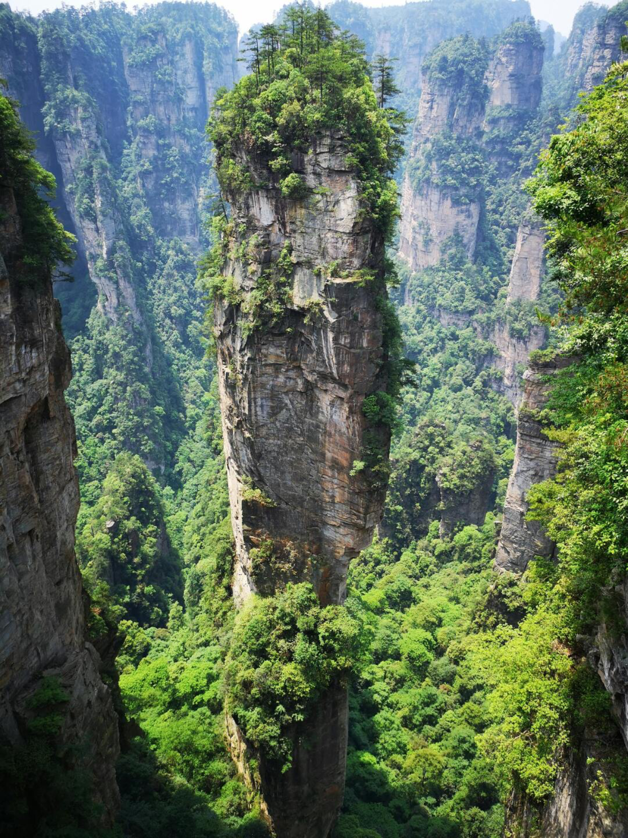 Zhangjiajie National Forest Park 4-Day All-Access Pass with Transport