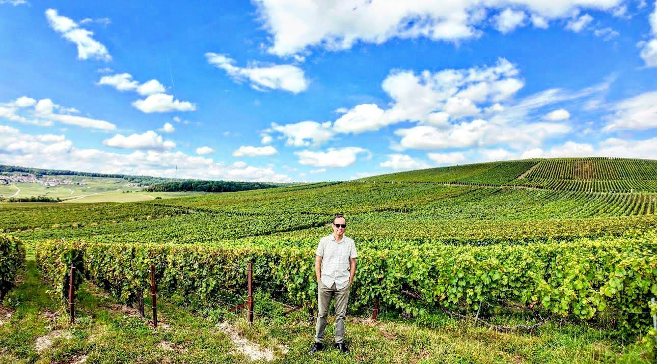 Pommery Champagne tour — Reims château, UNESCO crayères, contemporary art cellars — image 12