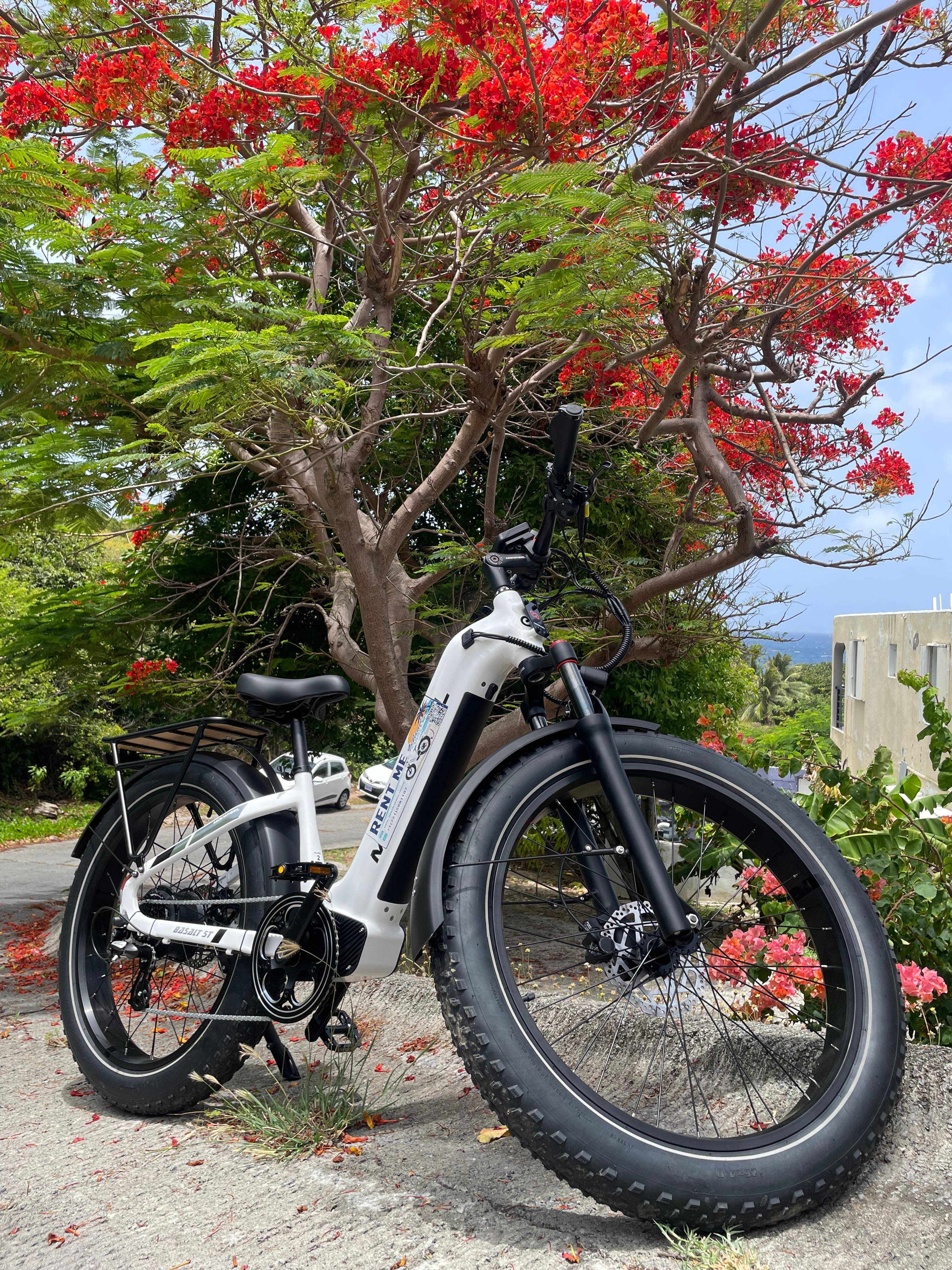 St. Maarten Electric Bike Rental with Island Exploration