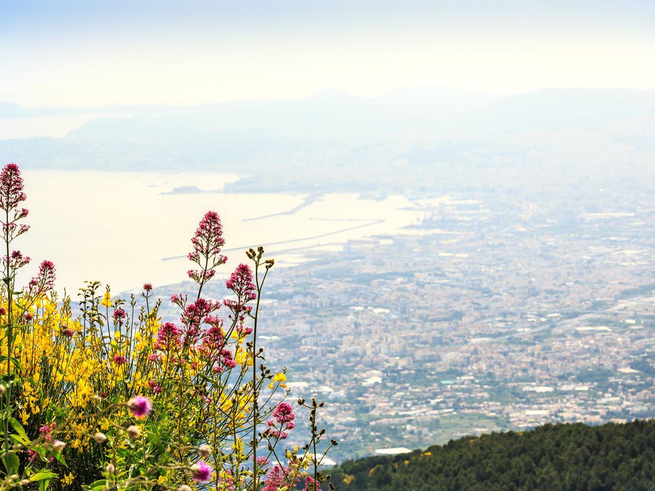 Mount Vesuvius Round-Trip Transfer & Skip-the-Line Entry
