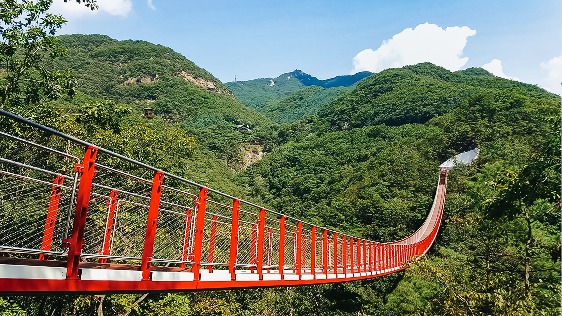 Korea DMZ Insider Tour: Defector Q&A, 3rd Tunnel & Suspension Bridge