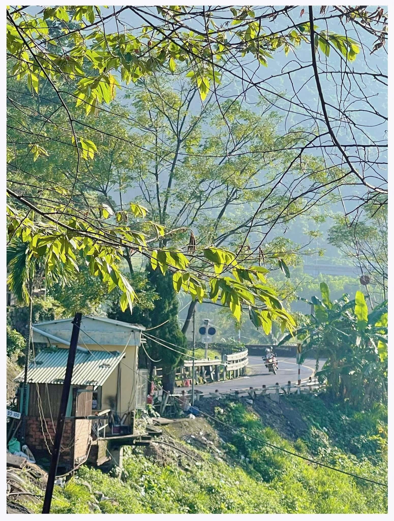 Hue Imperial City & Hai Van Pass Private Rail Tour
