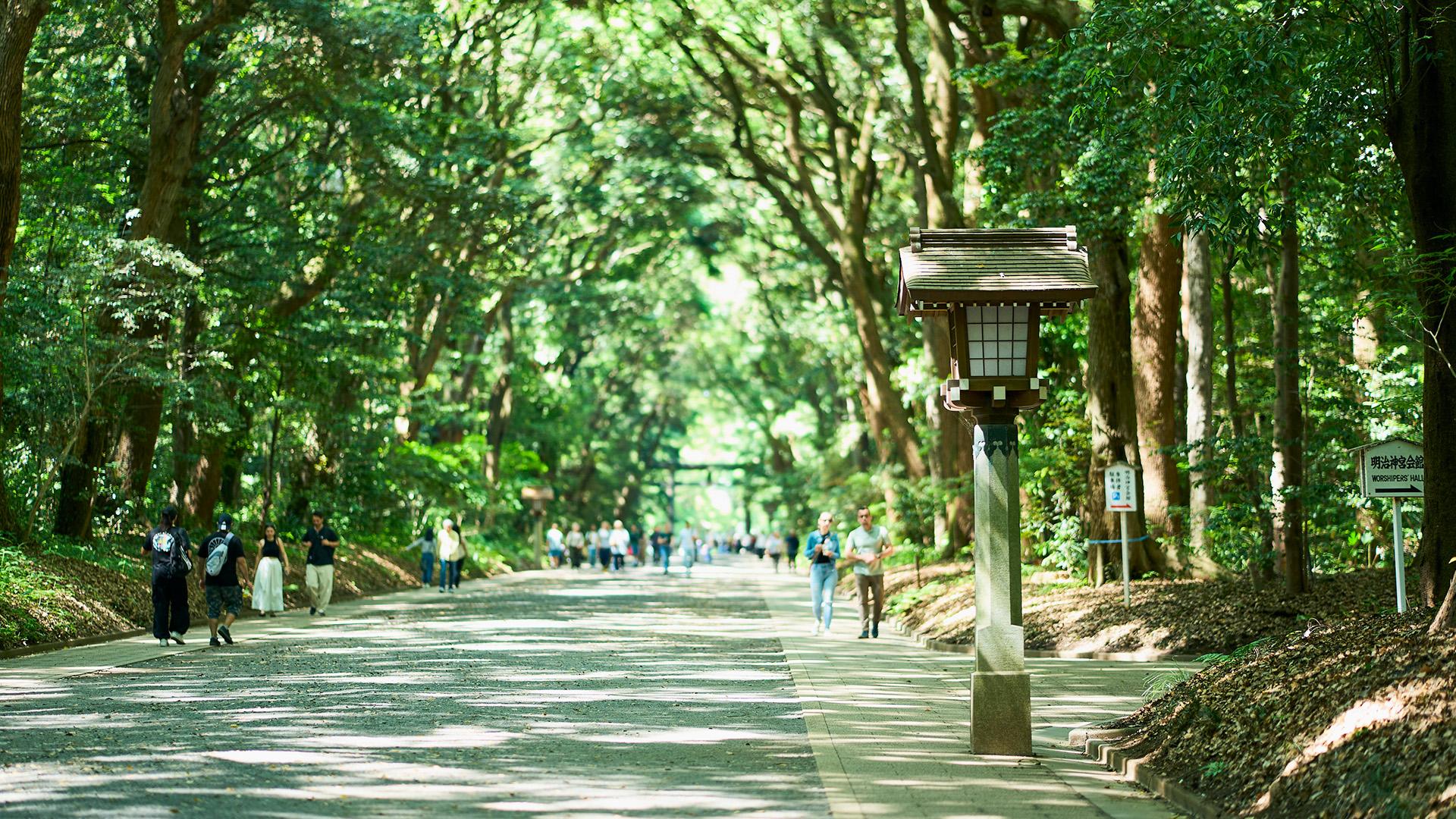 Tokyo Meiji Shrine Walking Tour: Shinto Faith & Imperial Legacy