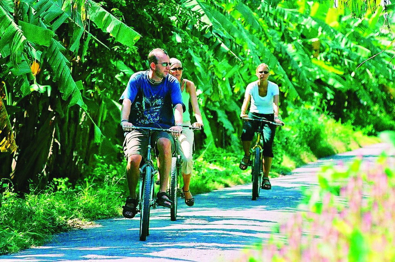 Private Mekong Delta Cycling Adventure from Ho Chi Minh City