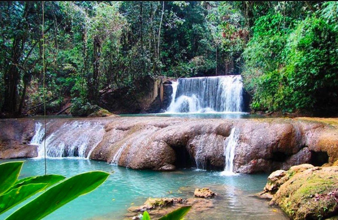 Jamaica South Coast: YS Falls & Black River Safari
