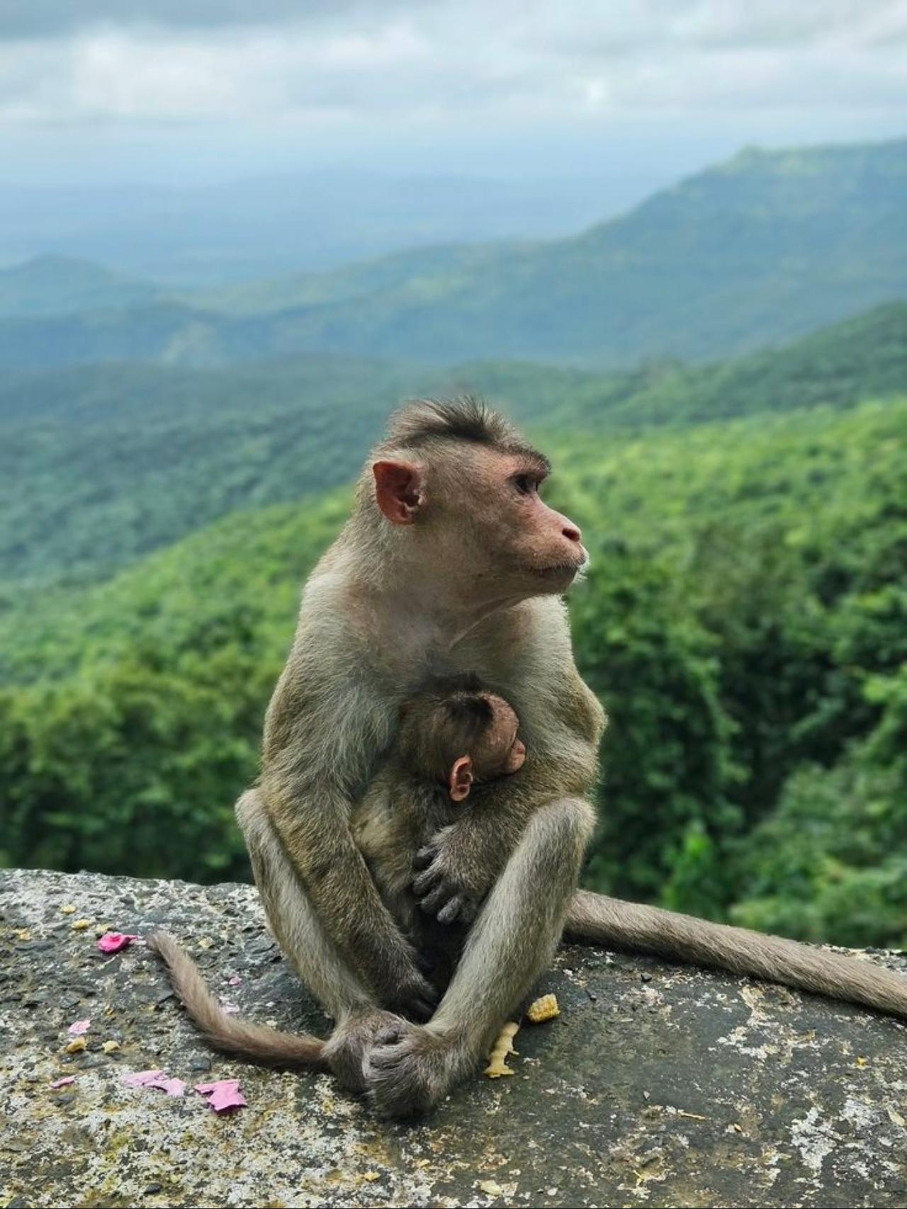 Mumbai Nature & Heritage: Kanheri Caves, Safari & Jain Temple