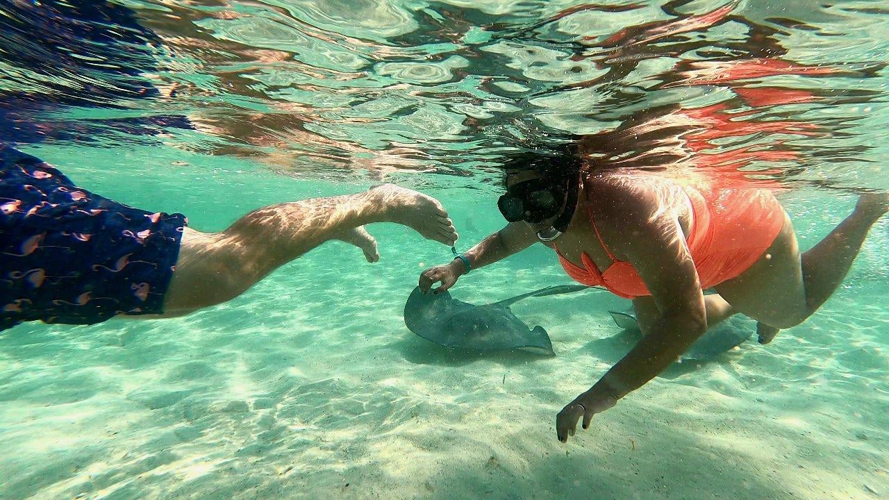 Bimini 4-Stop Ultimate Snorkeling Expedition