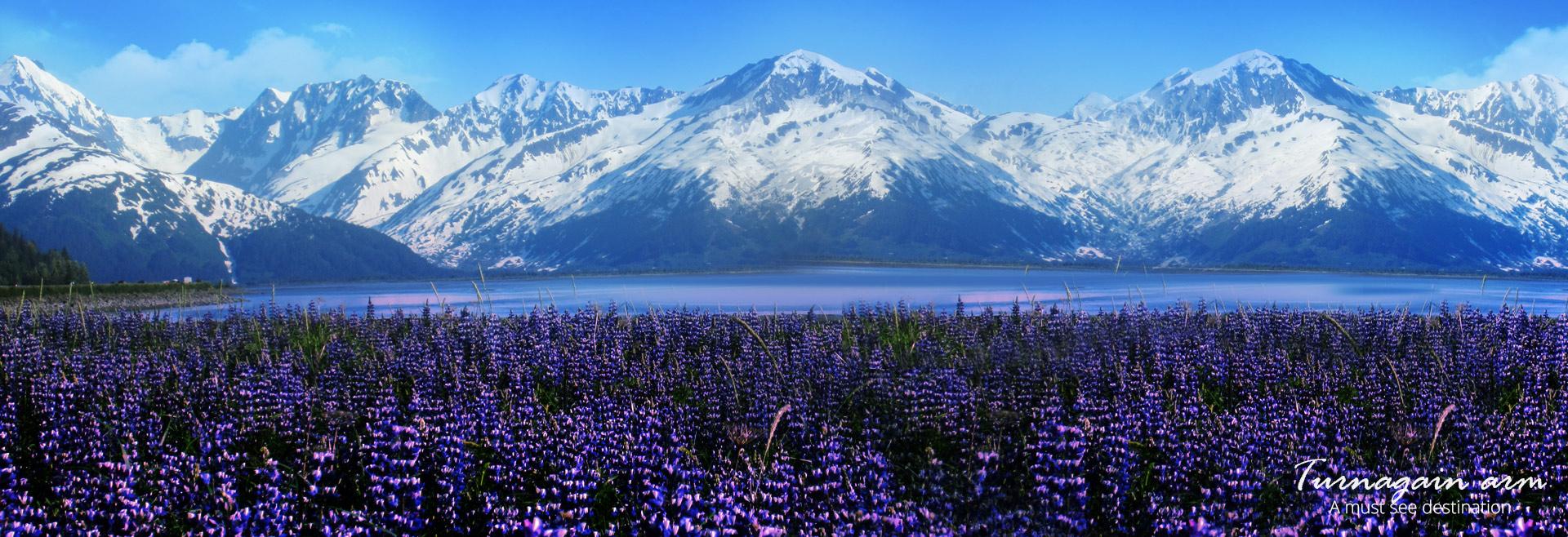 Anchorage to Turnagain Arm & Alaska Wildlife Center Guided Tour
