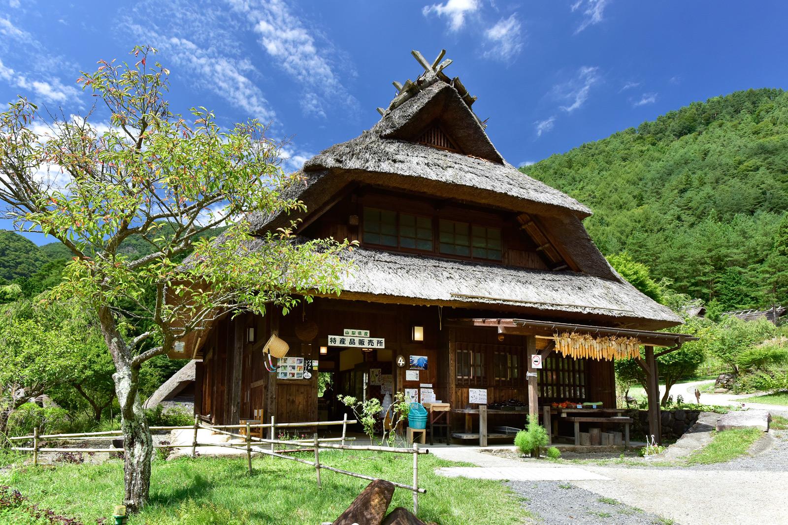 Mt. Fuji Day Tour: Lake Kawaguchi, Oshino Hakkai & Chureito Pagoda from Tokyo