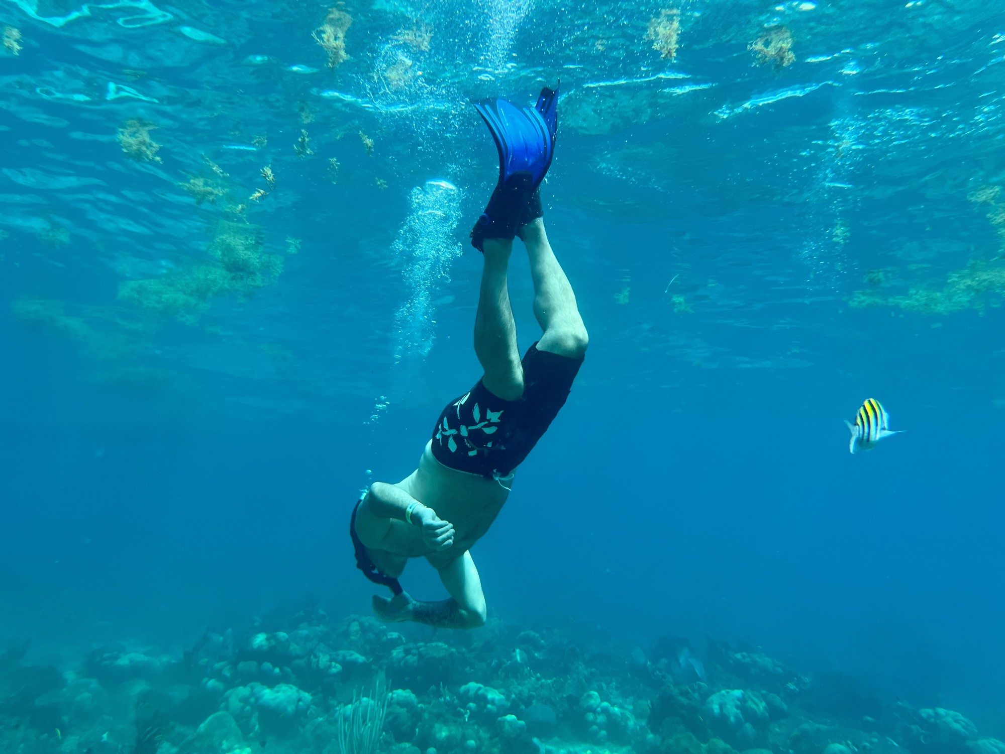 Catalina Island Snorkeling & Chavon River Day Tour from Punta Cana