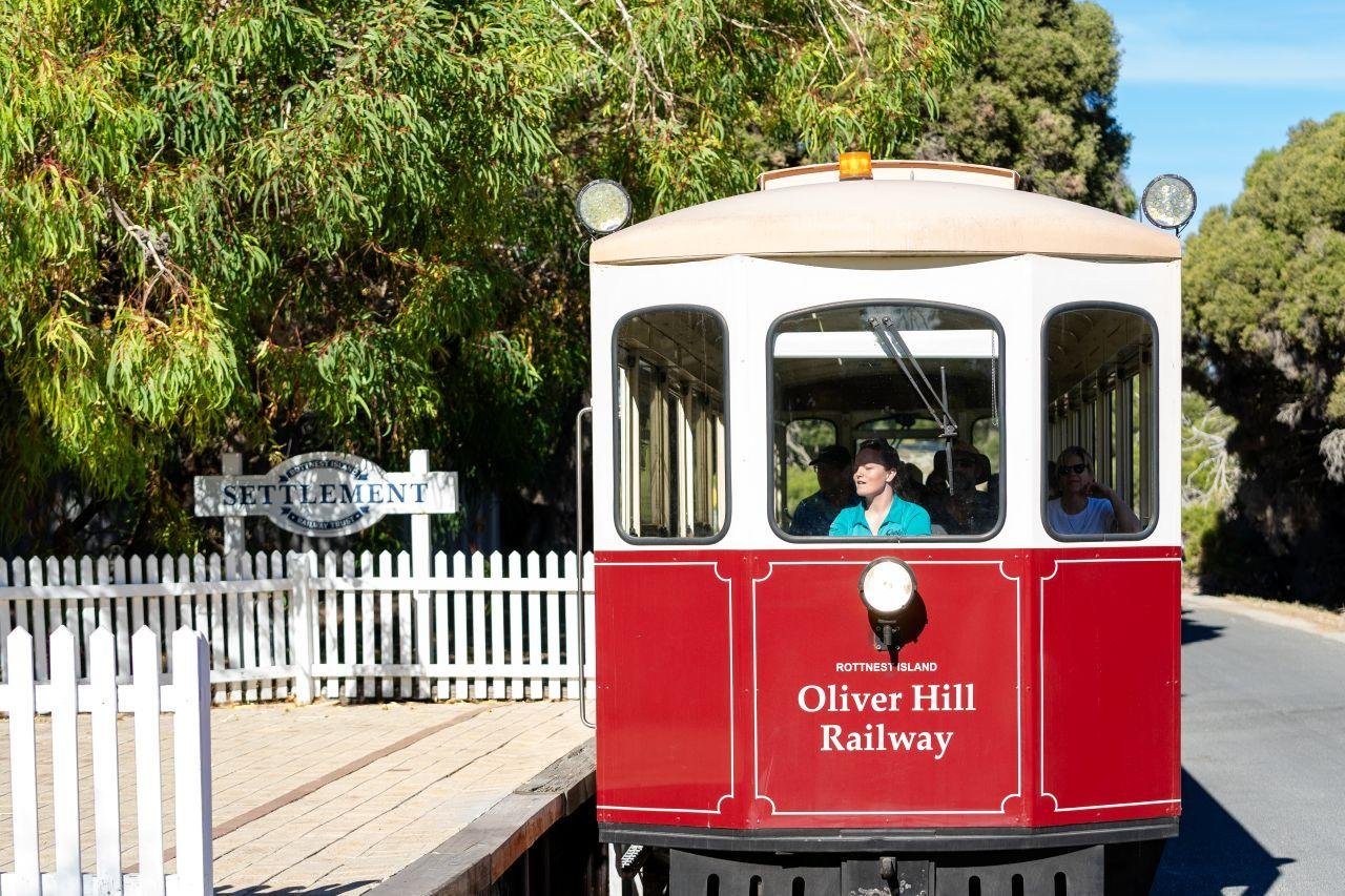 From Perth: Rottnest Island Grand Island Day Tour with Lunch