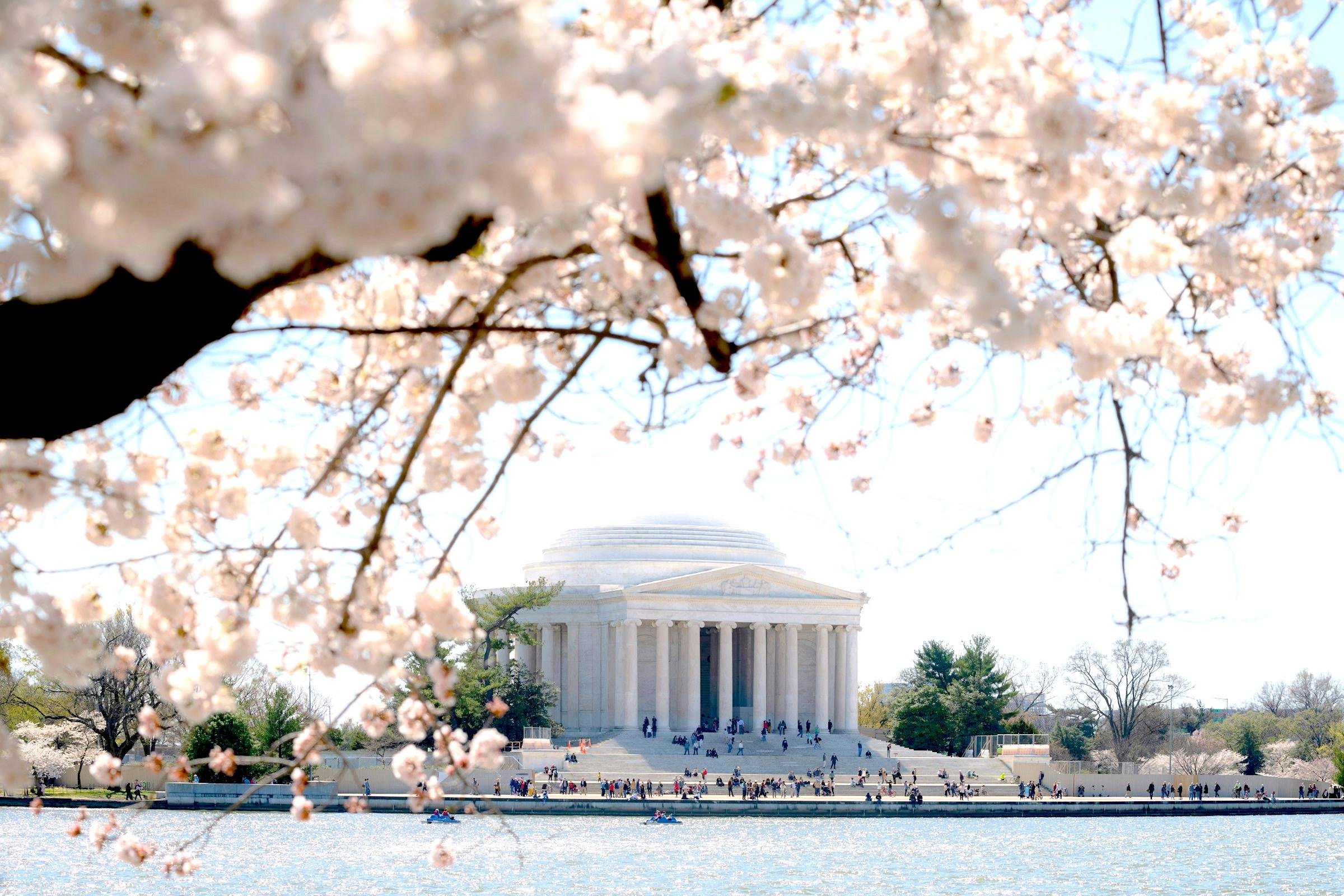 DC in a Day: 10+ Stops, Boat Ride, National Mall, Tickets - 2026 (Verified Reviews)