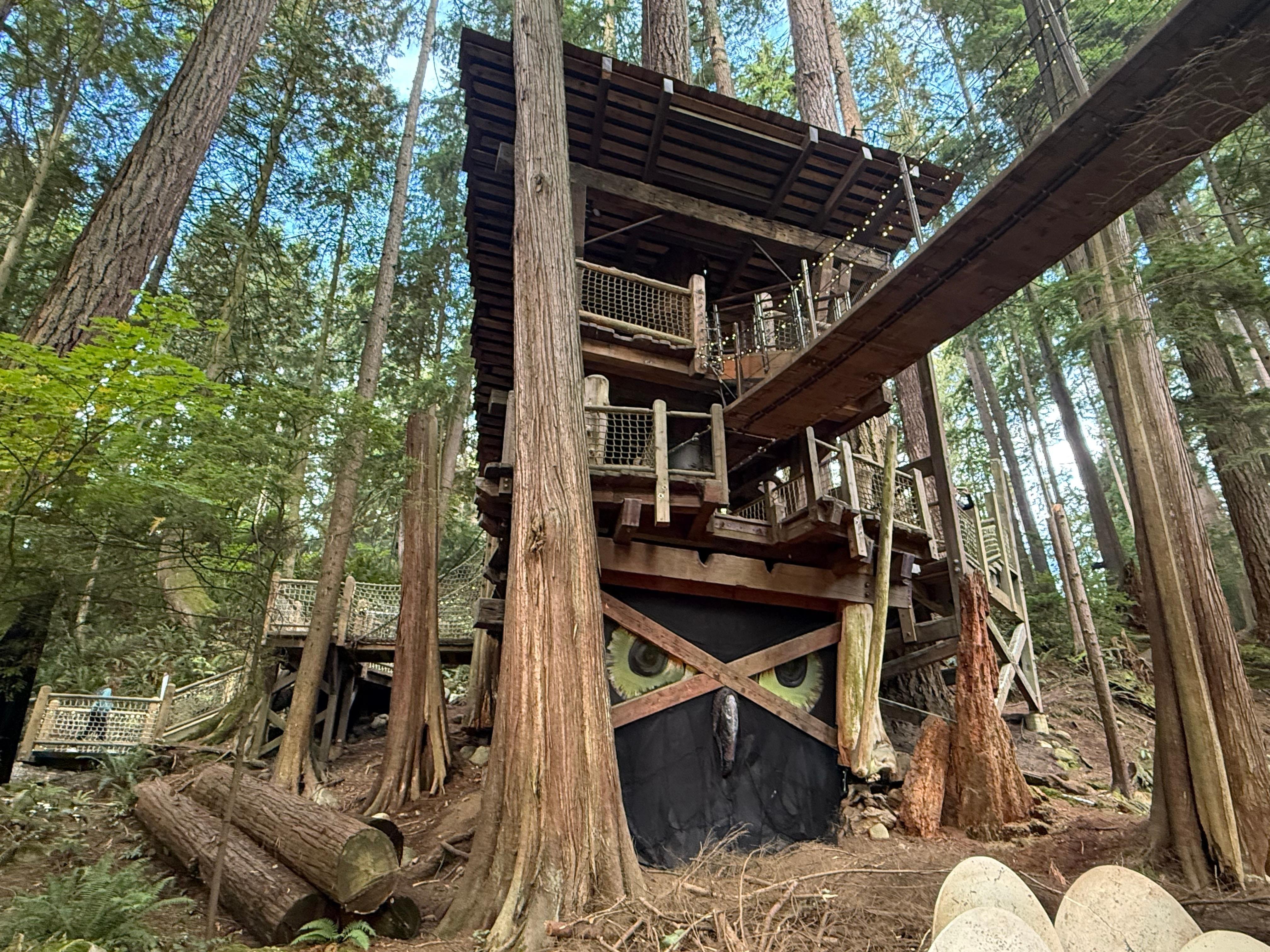 5-in-1 Vancouver Highlights: Grouse Mountain & Capilano Bridge Private Car Tour