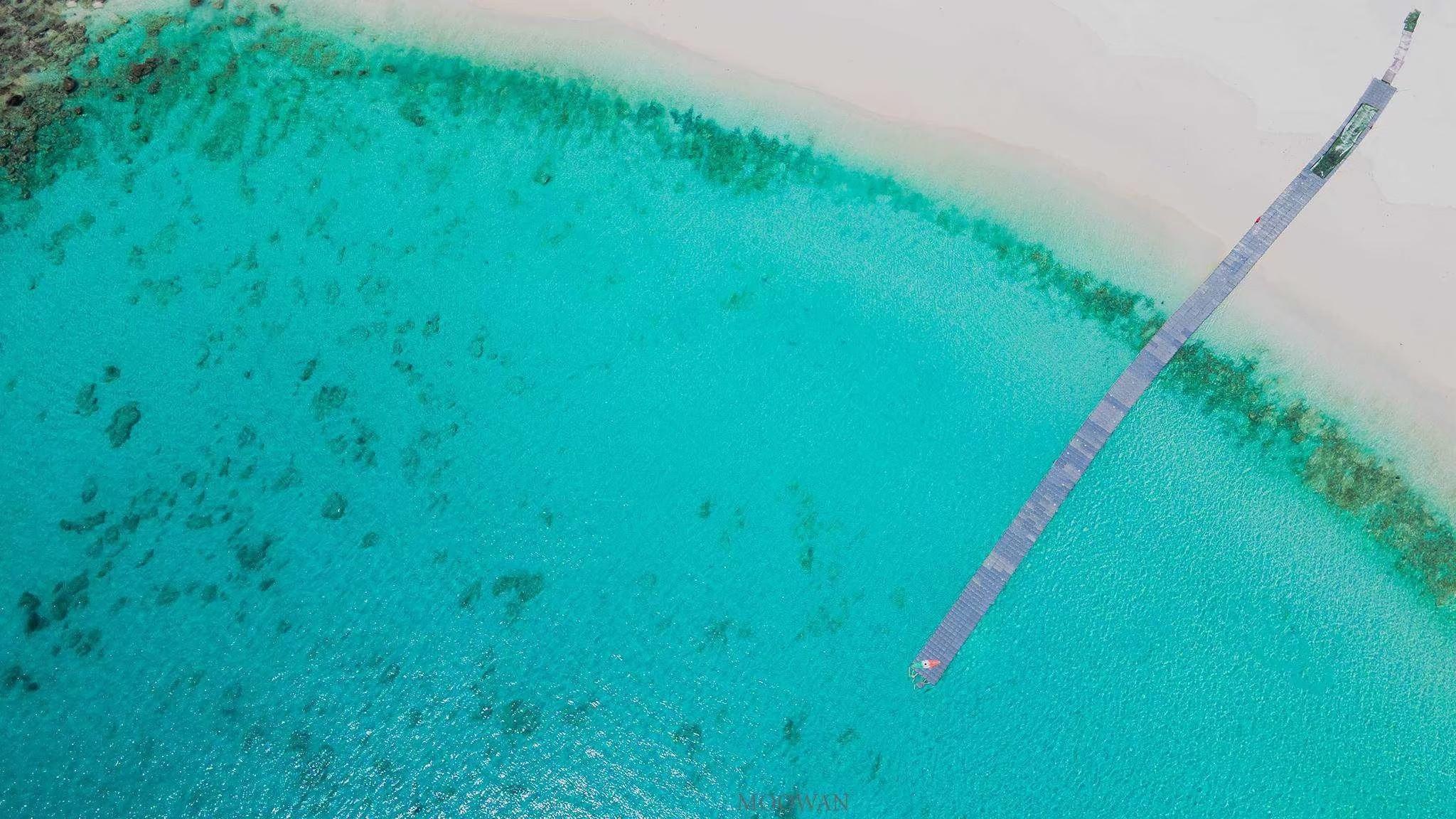 Phuket: Coral & Racha Islands Snorkeling Speedboat Tour