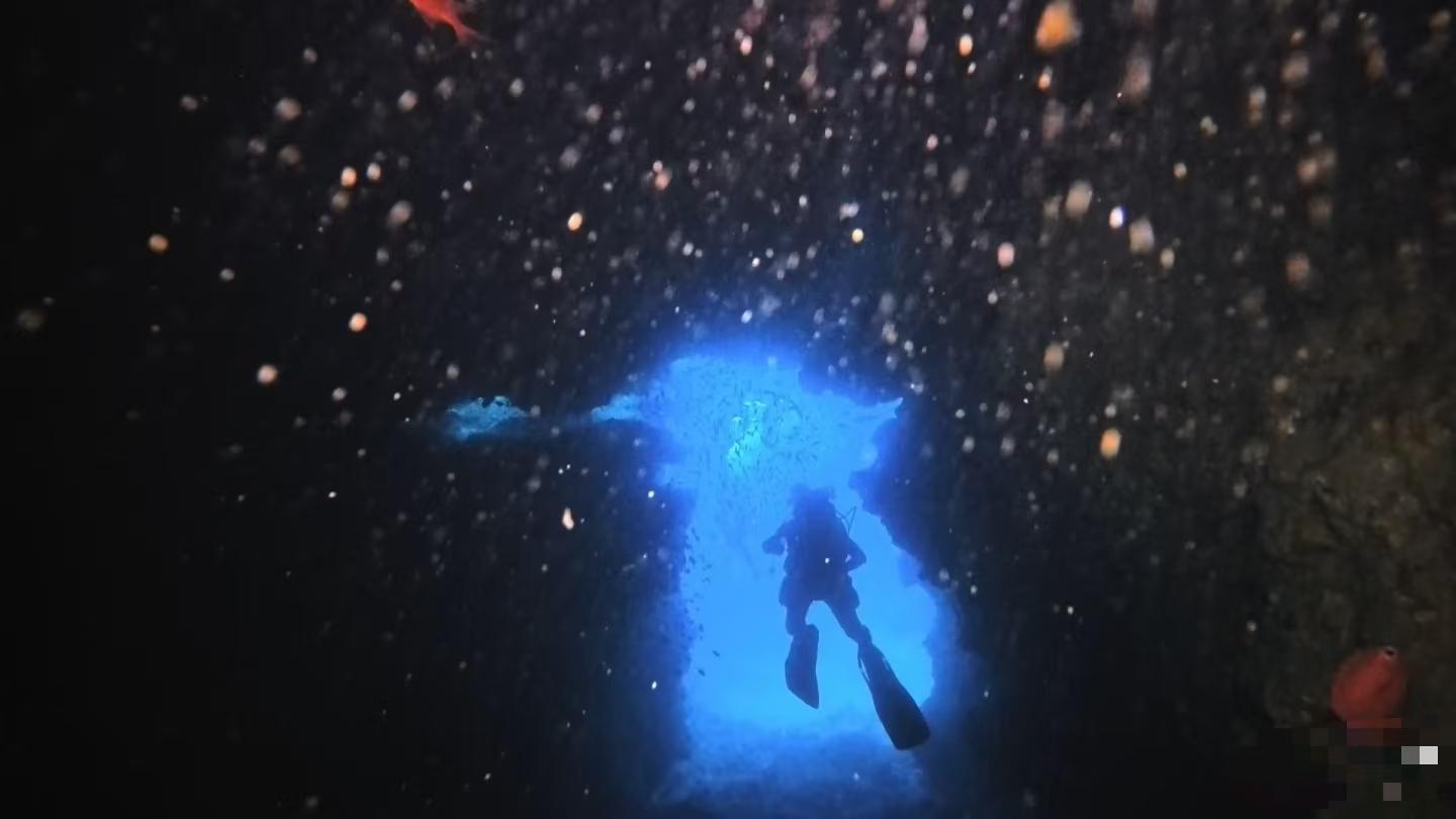 Certified Fun Diving at Multiple Okinawa Sites
