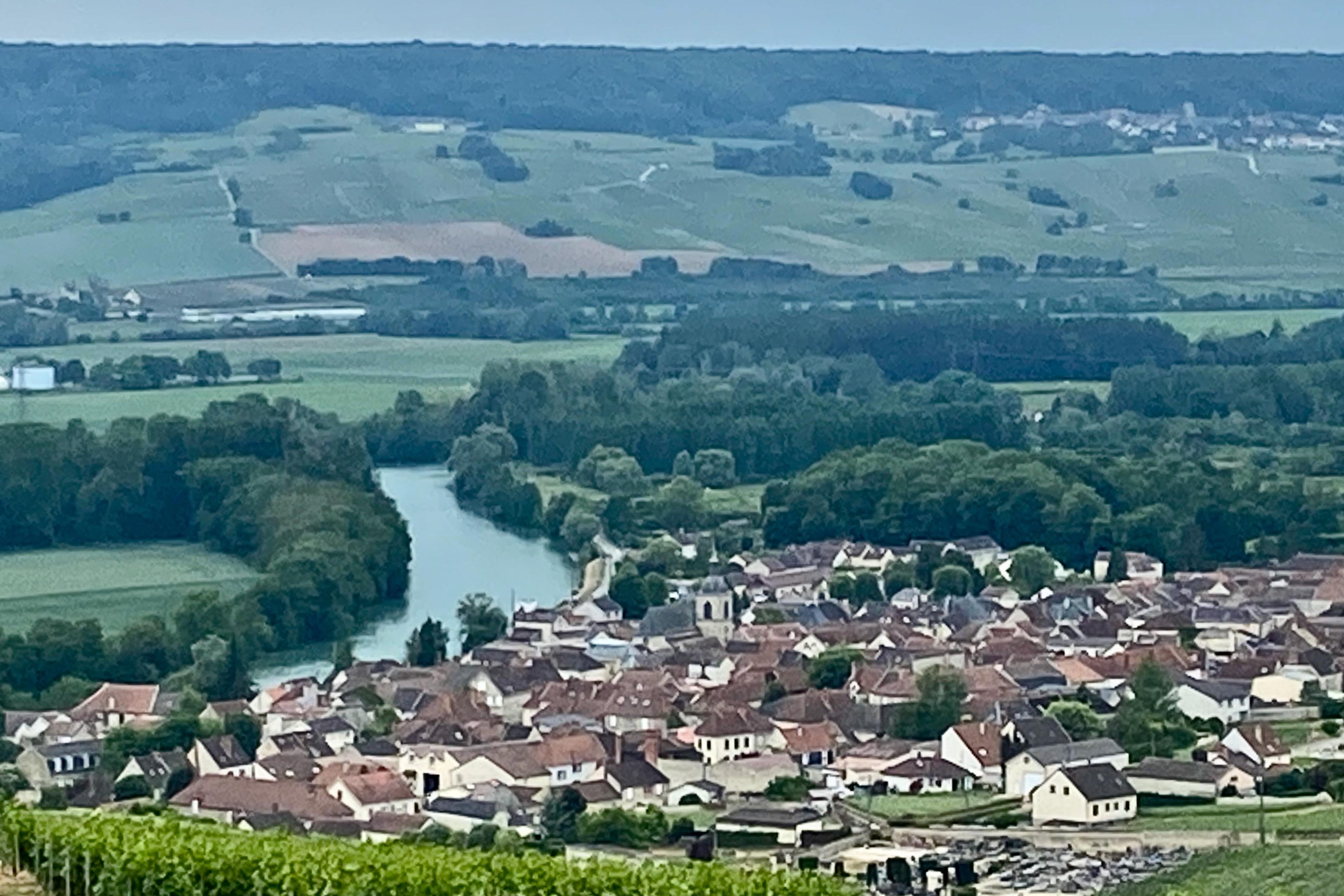 Private Champagne tour — Mercedes V-Class, riddling racks, grower vigneron lunch, 9-glass tasting — image 2