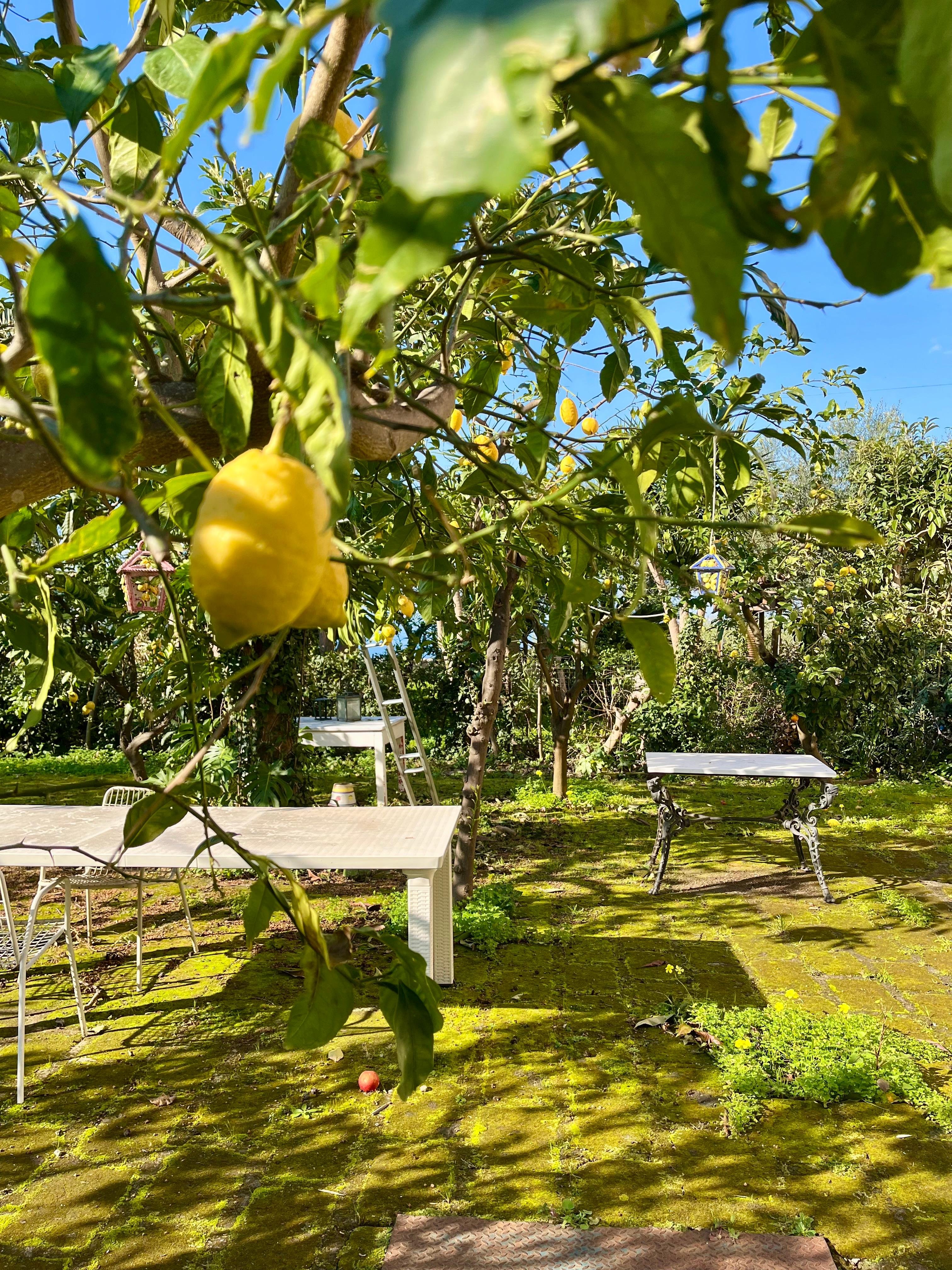 Sorrento Seaside Cooking Class & Sommelier Wine Pairing