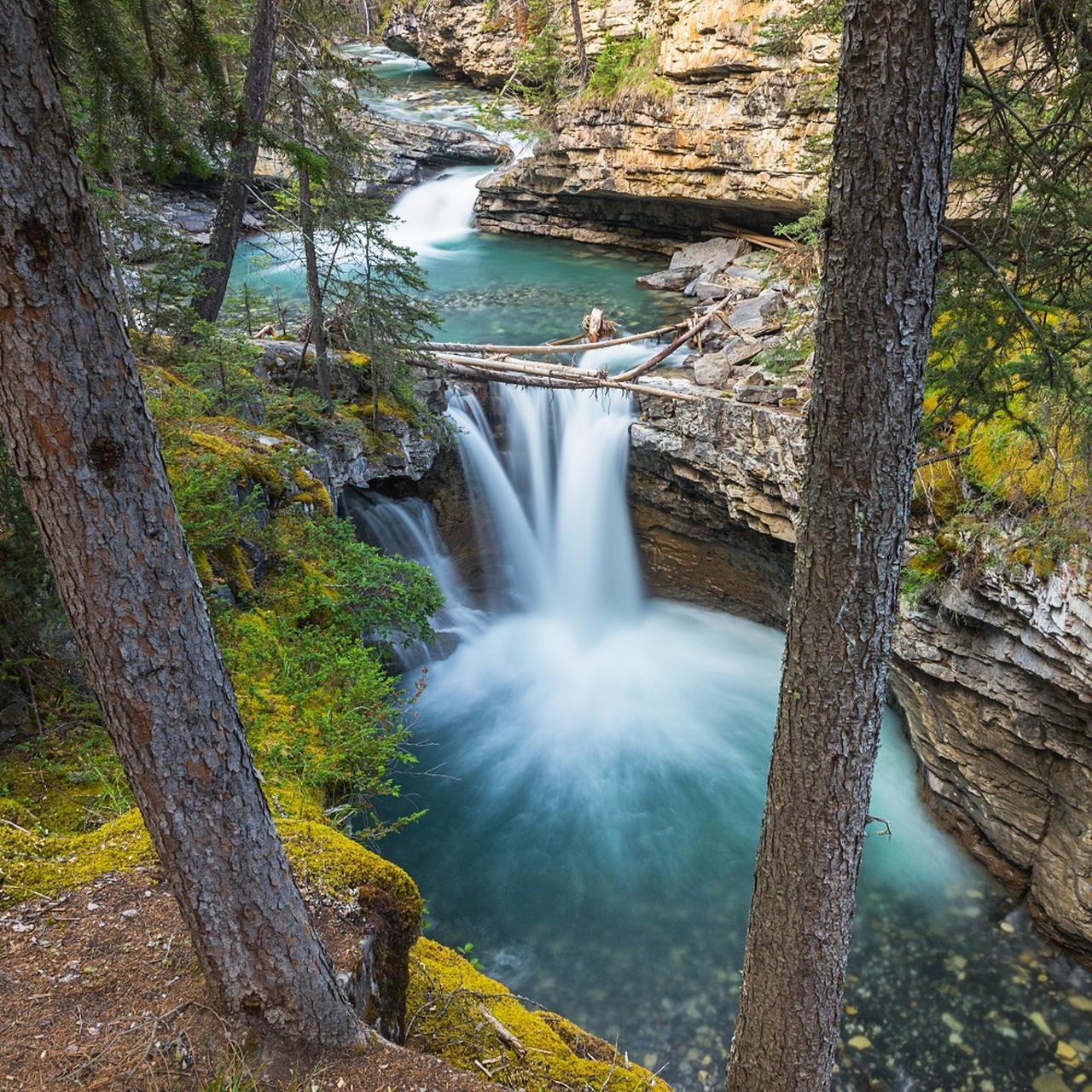 Emerald Lake canoe green glacial water President Range Yoho National Park British Columbia — image 20