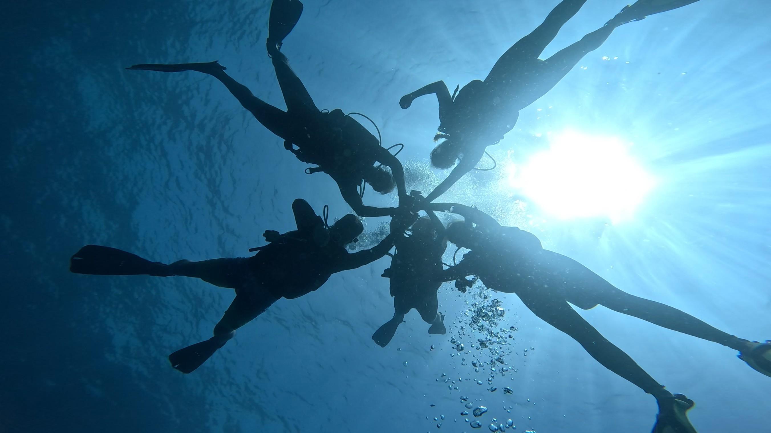 Catalina Islands: Beginner Scuba Dive with Pool Training