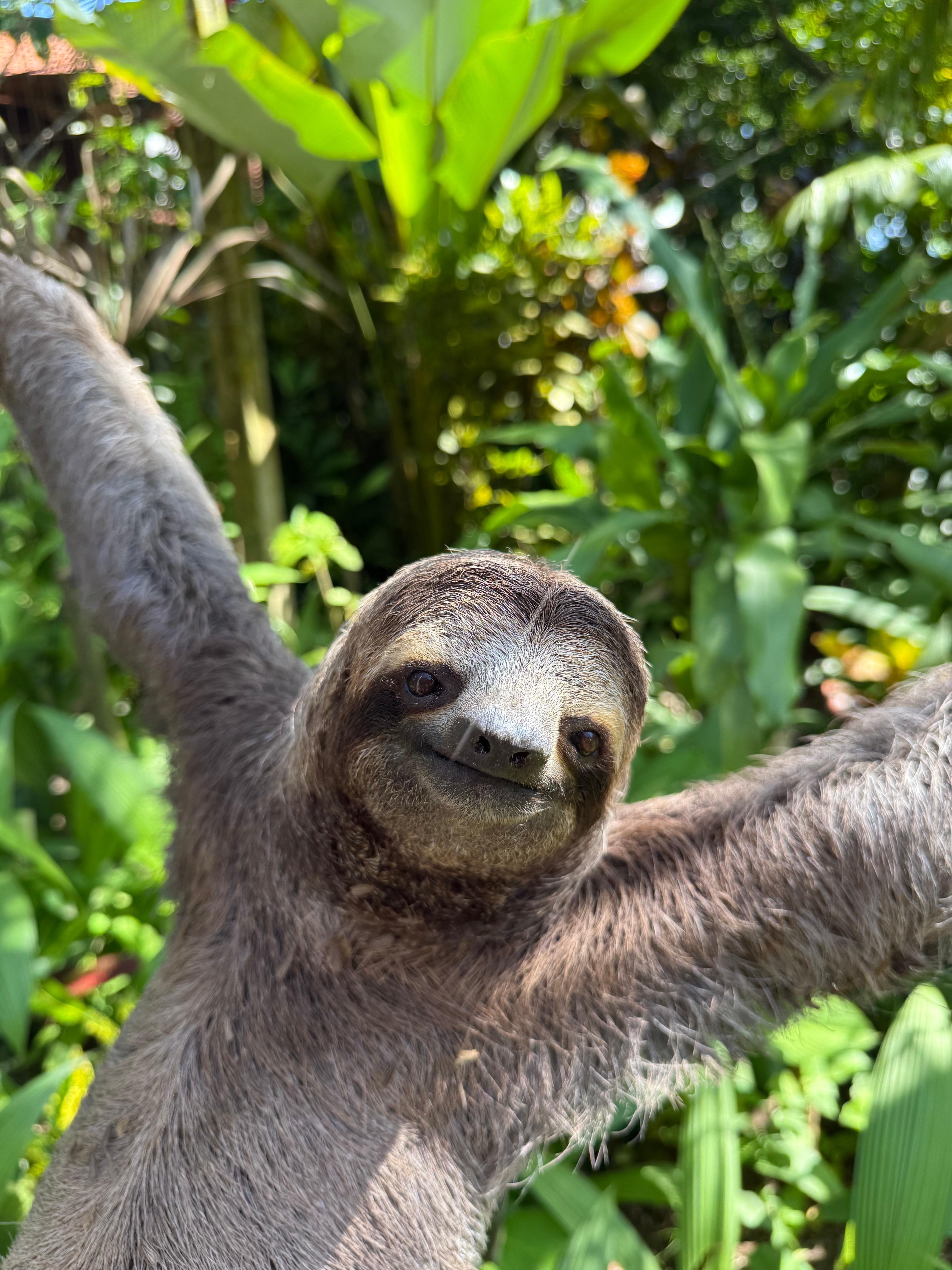 Manuel Antonio National Park: Wildlife Guided Tour with Entrance Fee