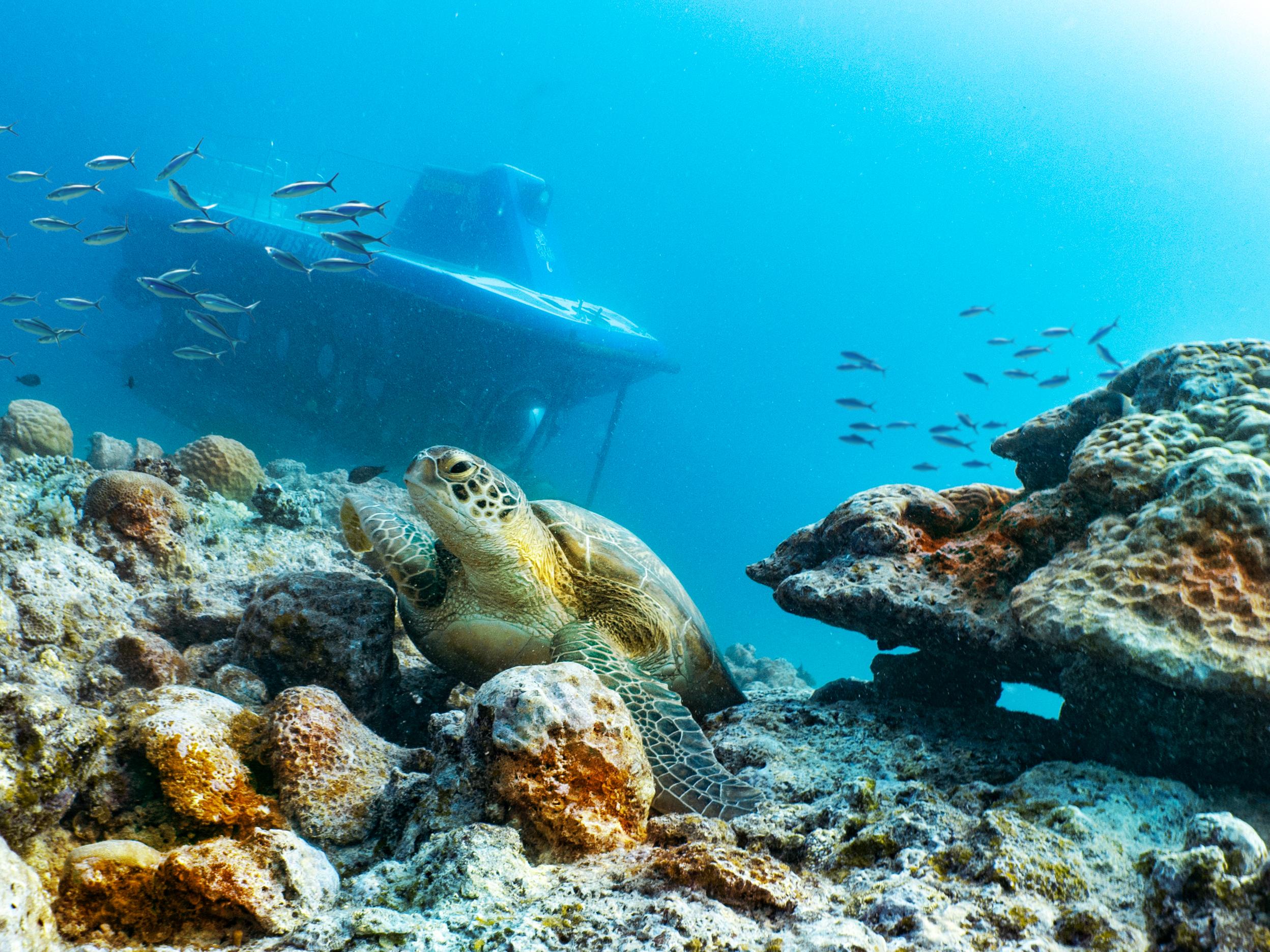 Trou-aux-Biches Submarine Deep-Sea Wreck Expedition