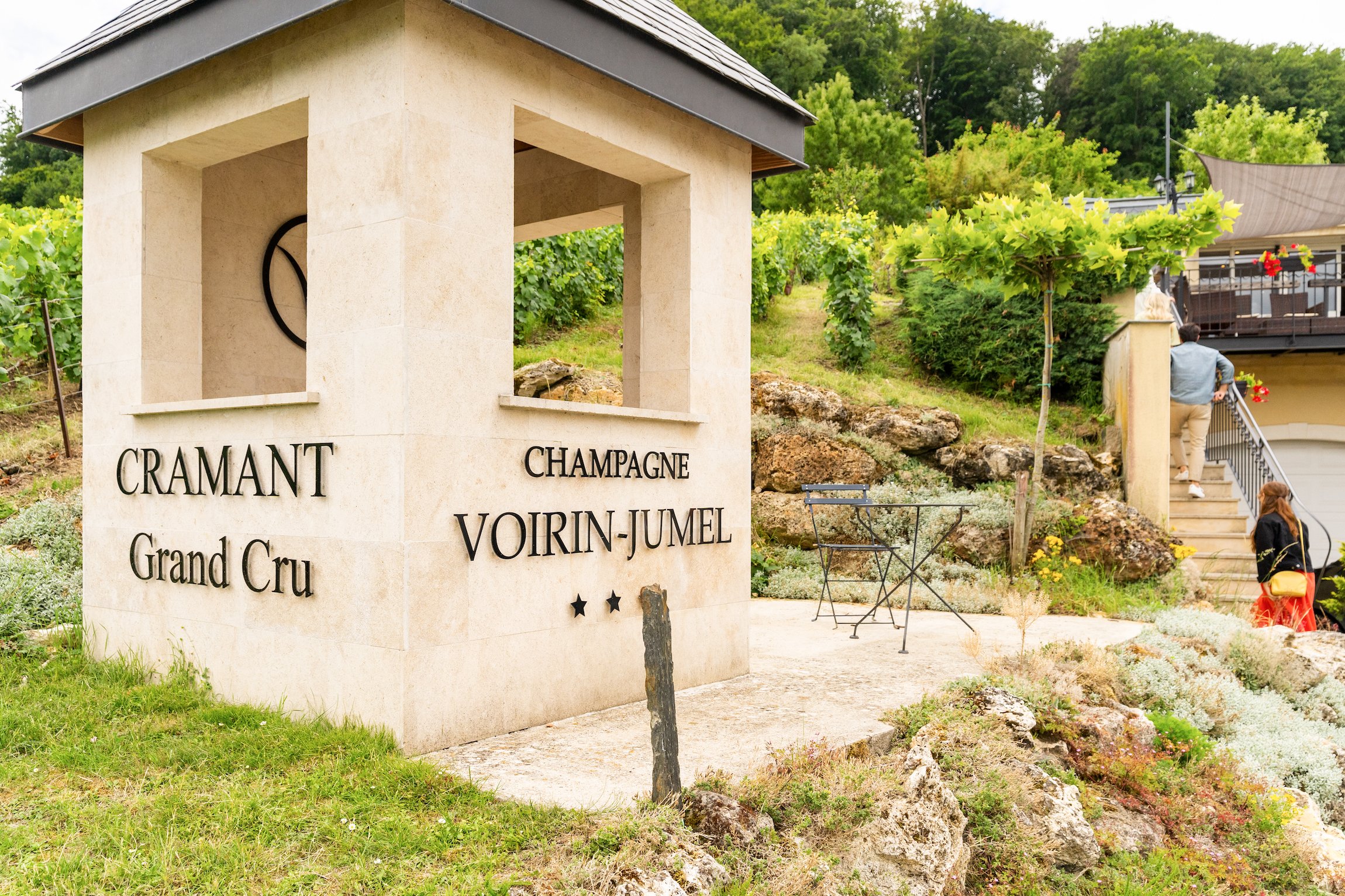 Champagne day trip from Paris — cellars, vineyards, and tastings — image 21
