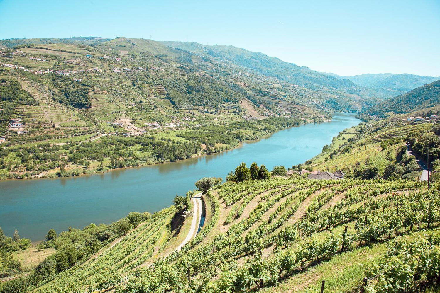 Douro Valley Premium Wine Tour with Cruise & Lunch from Porto