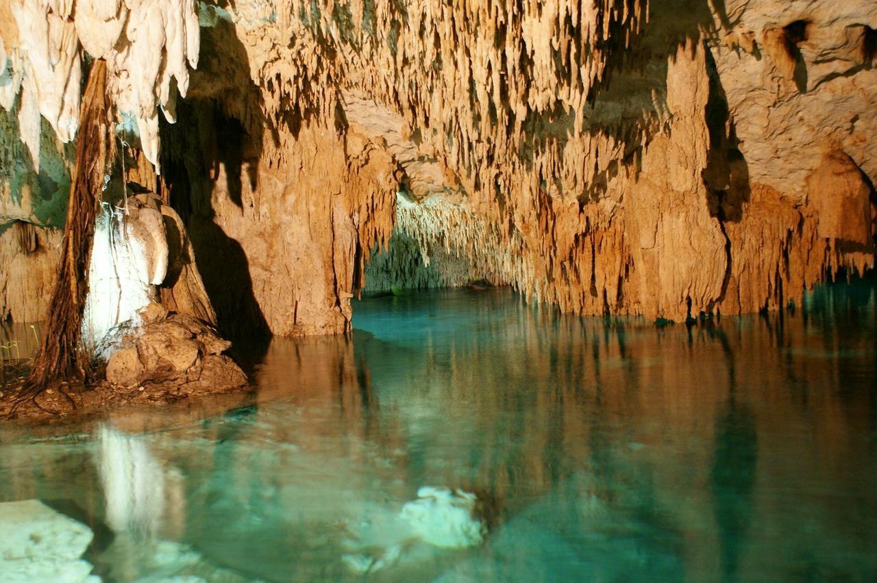 Tulum Jungle ATV, Zipline & Cenote Half-Day Adventure