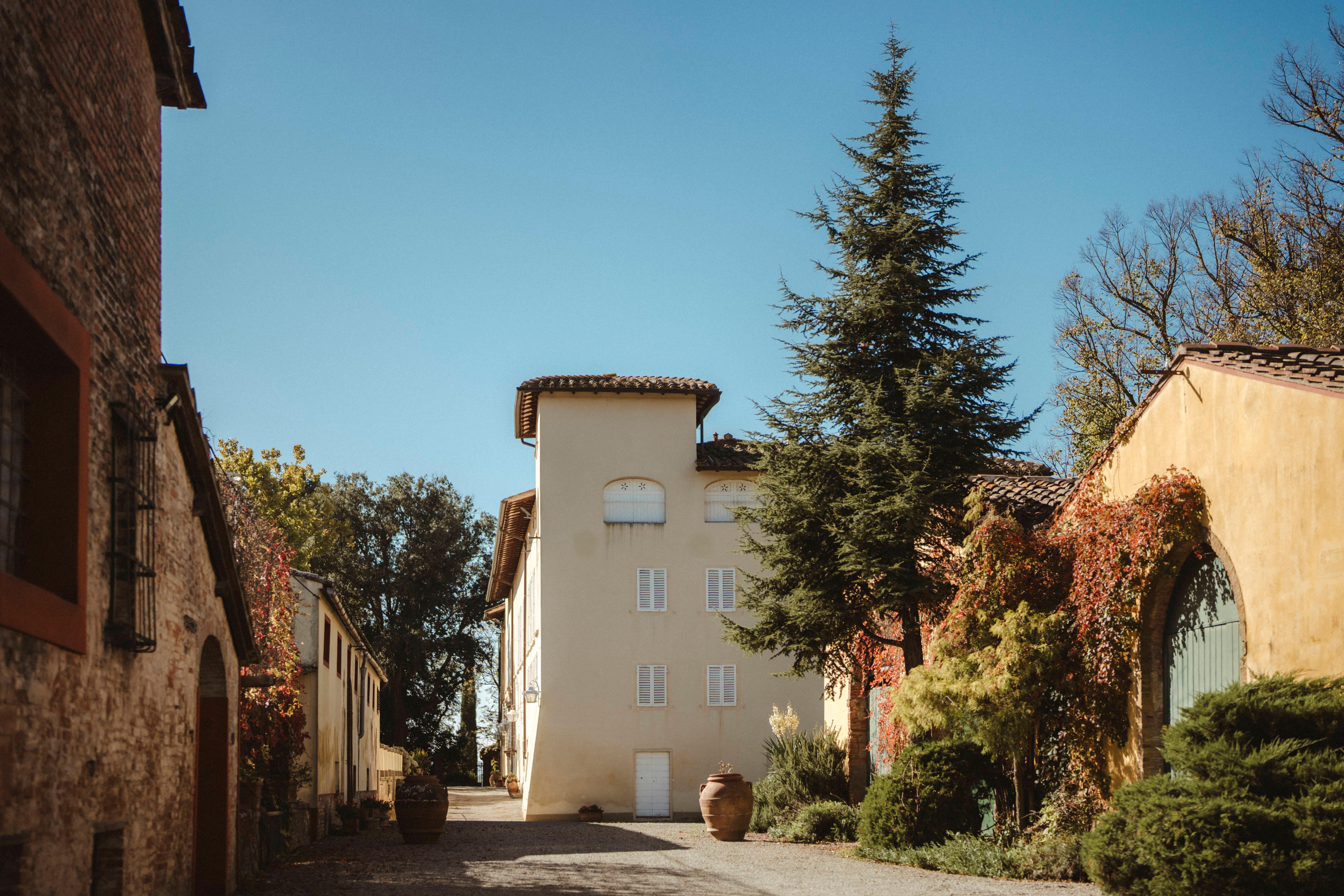 Florence: San Gimignano, Truffle Hunt, Wine Tasting, & Lunch - 2026 (Verified Reviews)
