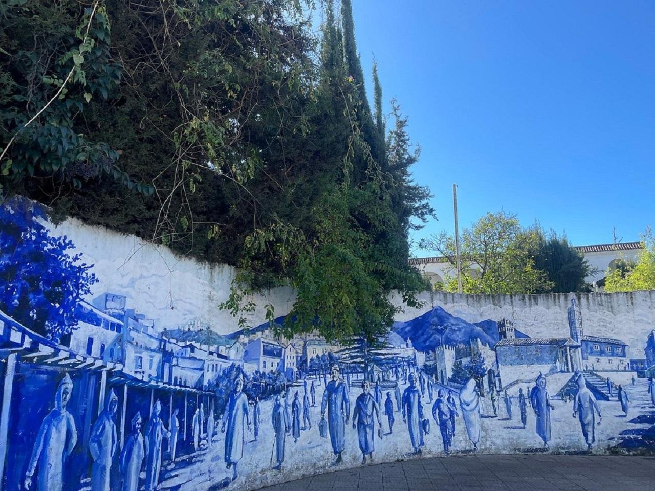 Fes to Chefchaouen Transfer: Volubilis & Scenic Stops