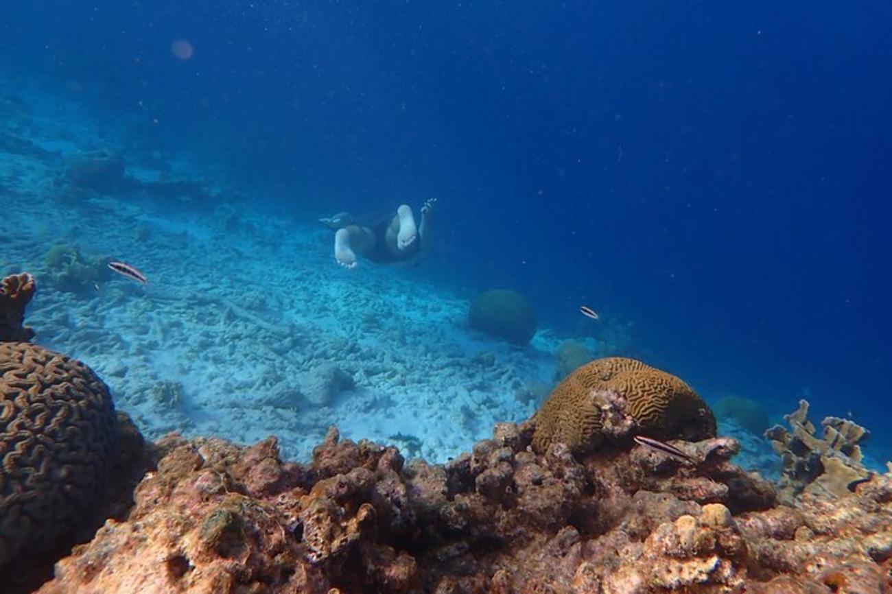 Bonaire Three-Stop Snorkeling Adventure
