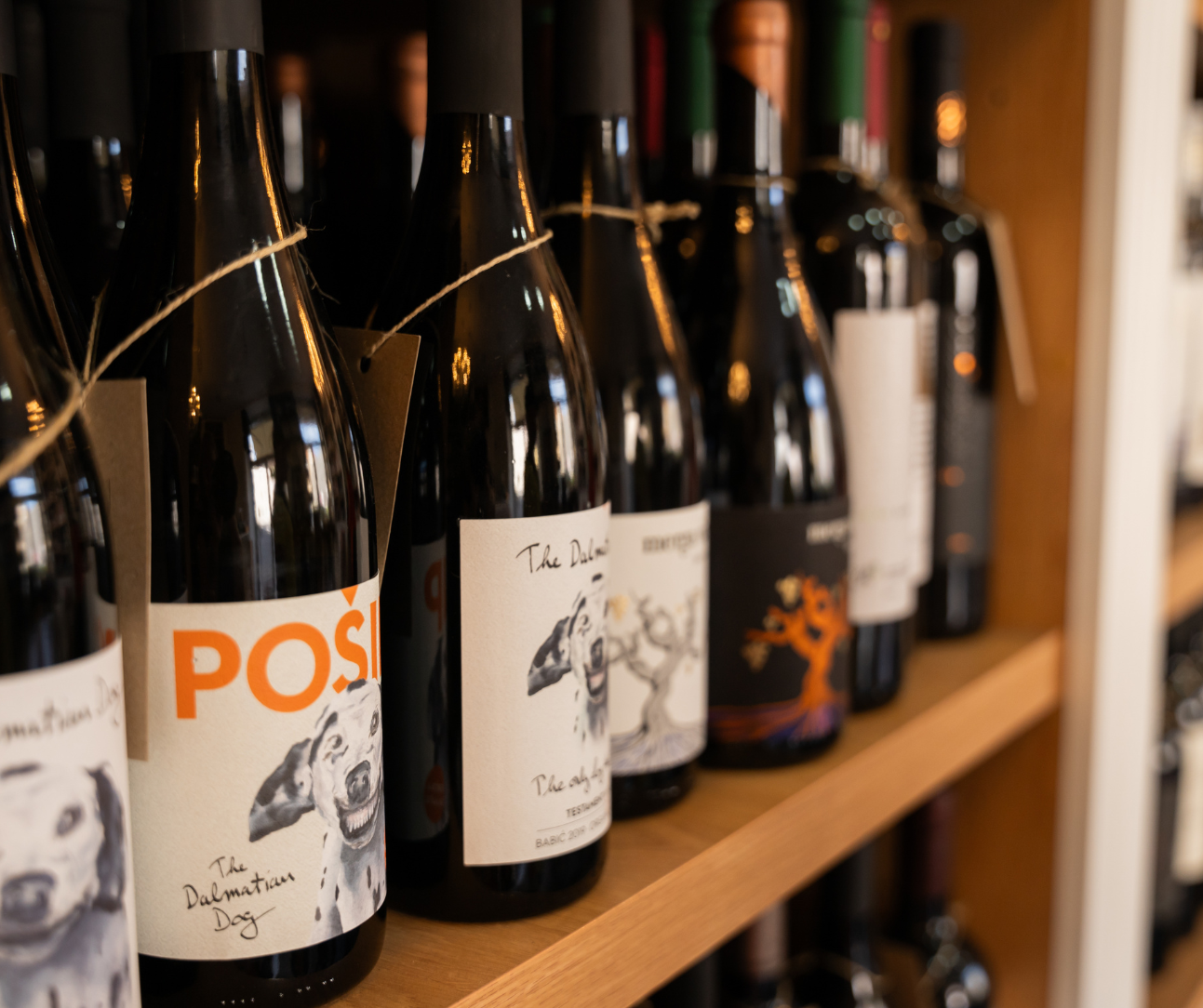 Split & Sip: Expert-Led Educational Wine Tasting