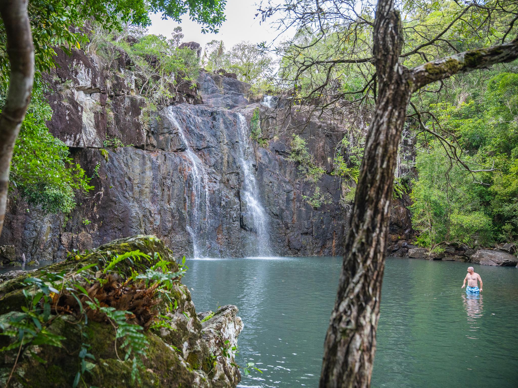 Cedar Creek Falls Eco Tour from Airlie Beach