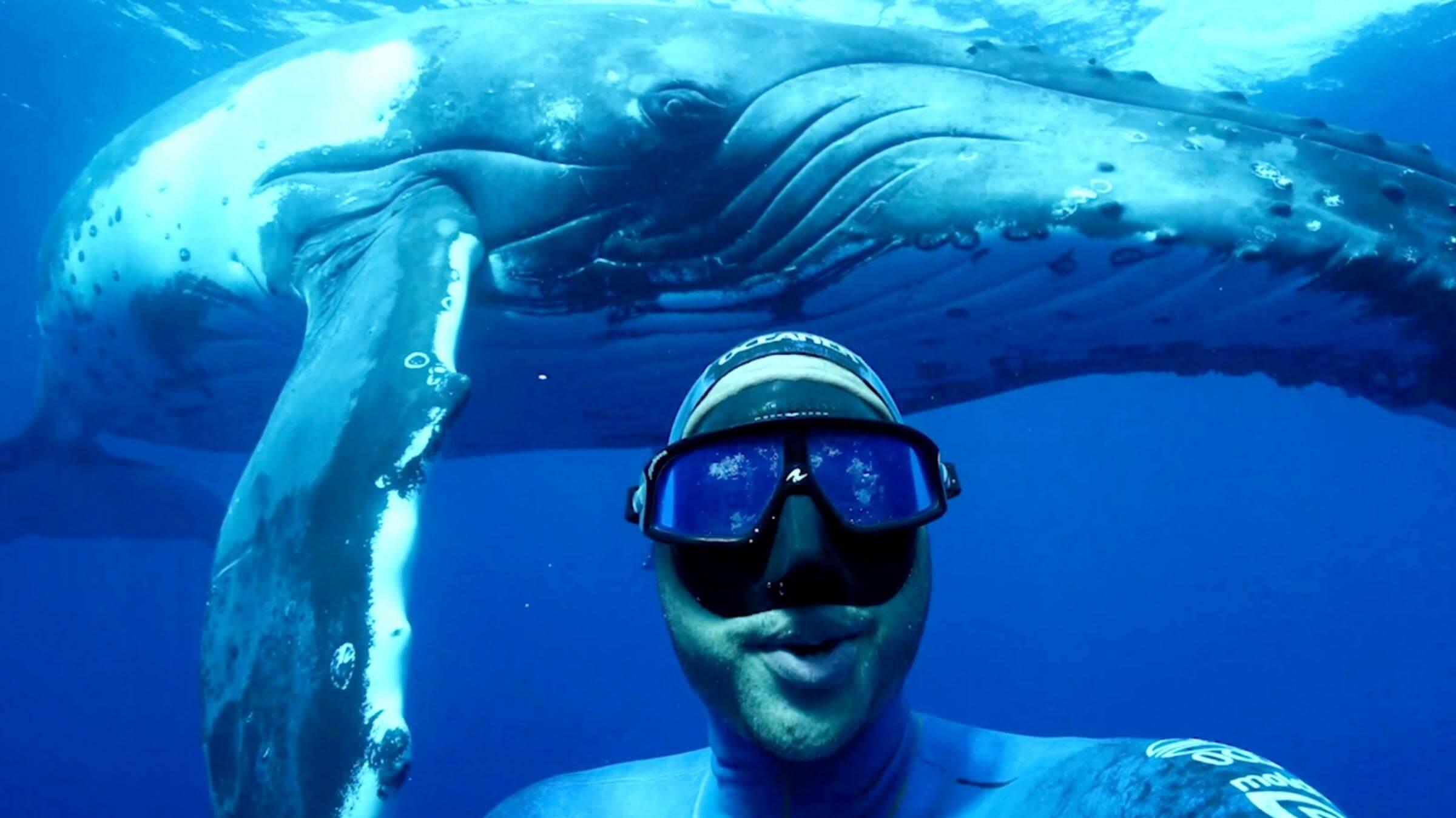 Trincomalee Guided Whale Snorkeling Excursion