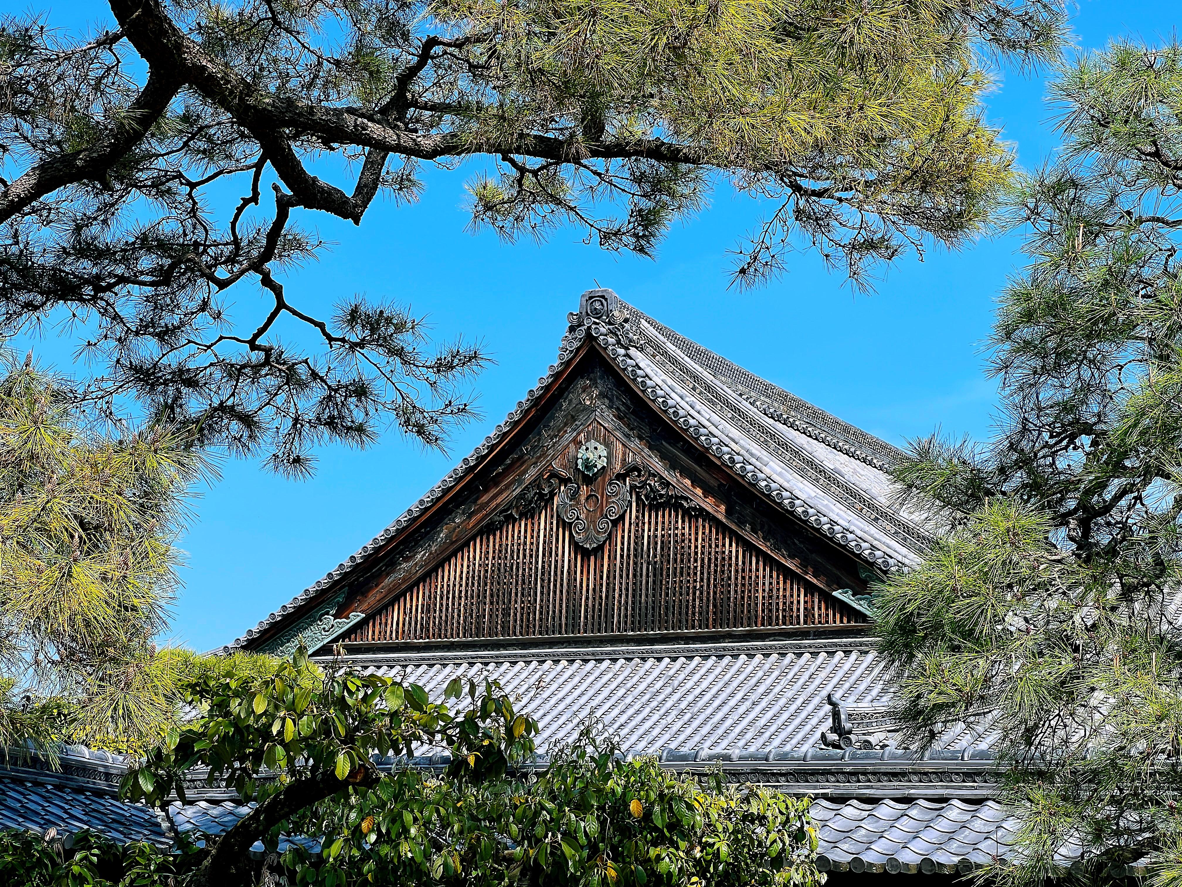 Kyoto Nijo-jo Castle: Private Samurai & Shogun History Tour