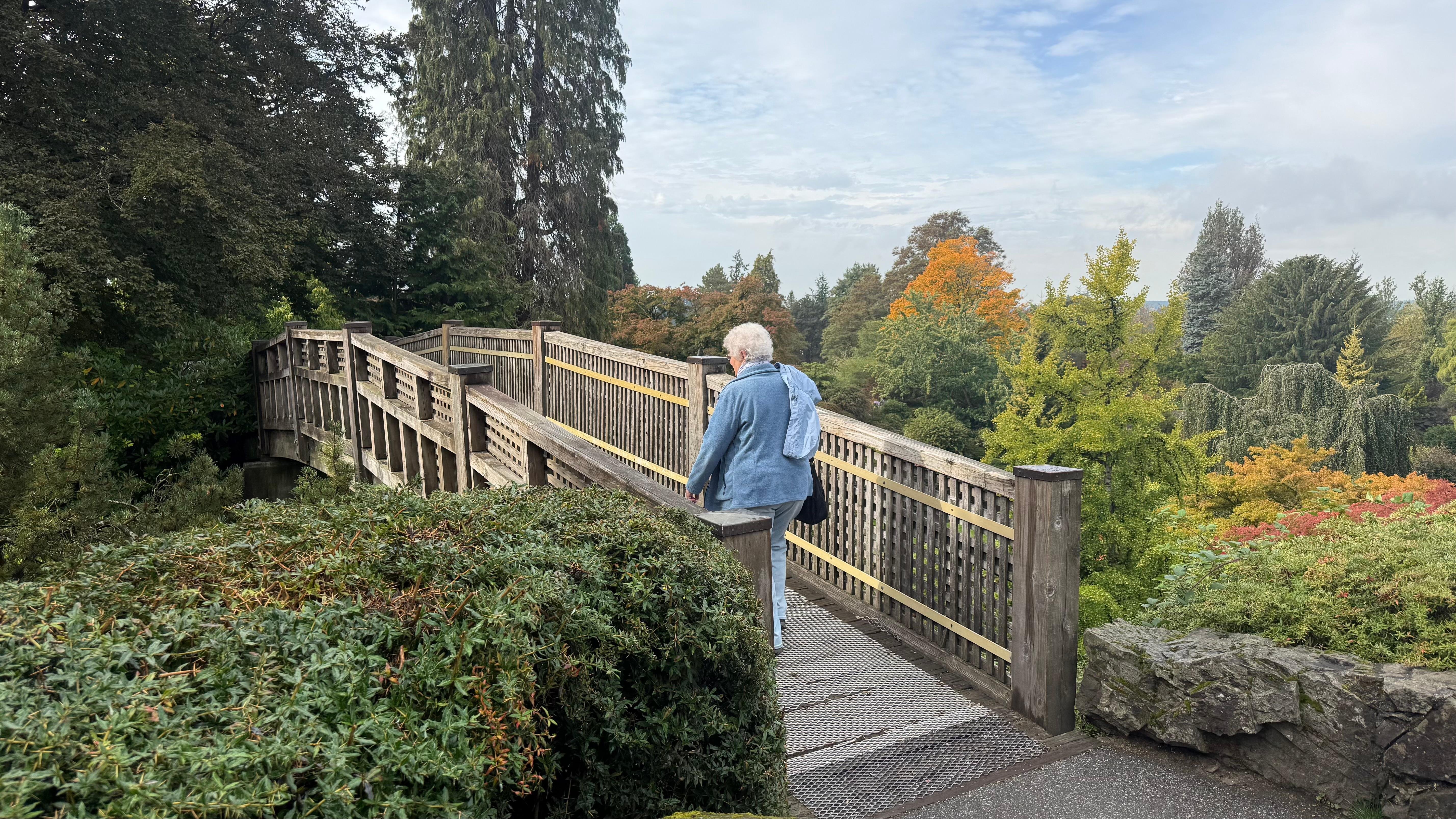 Vancouver Highlights: Private Car Tour of City Landmarks